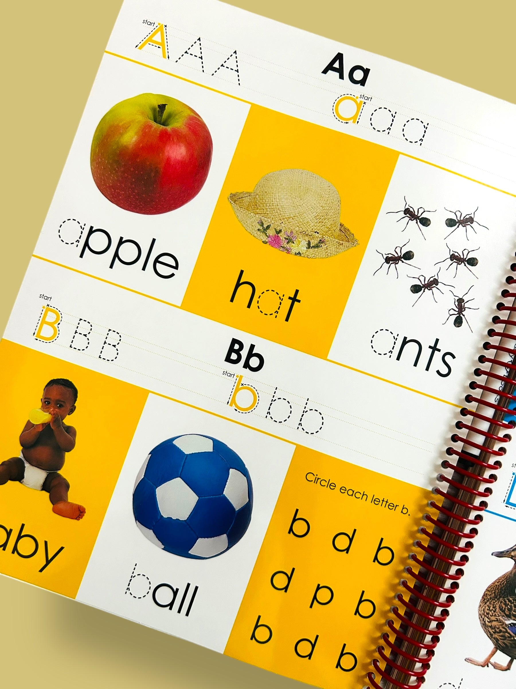 Wipe & Clean Early Learning Activity Book