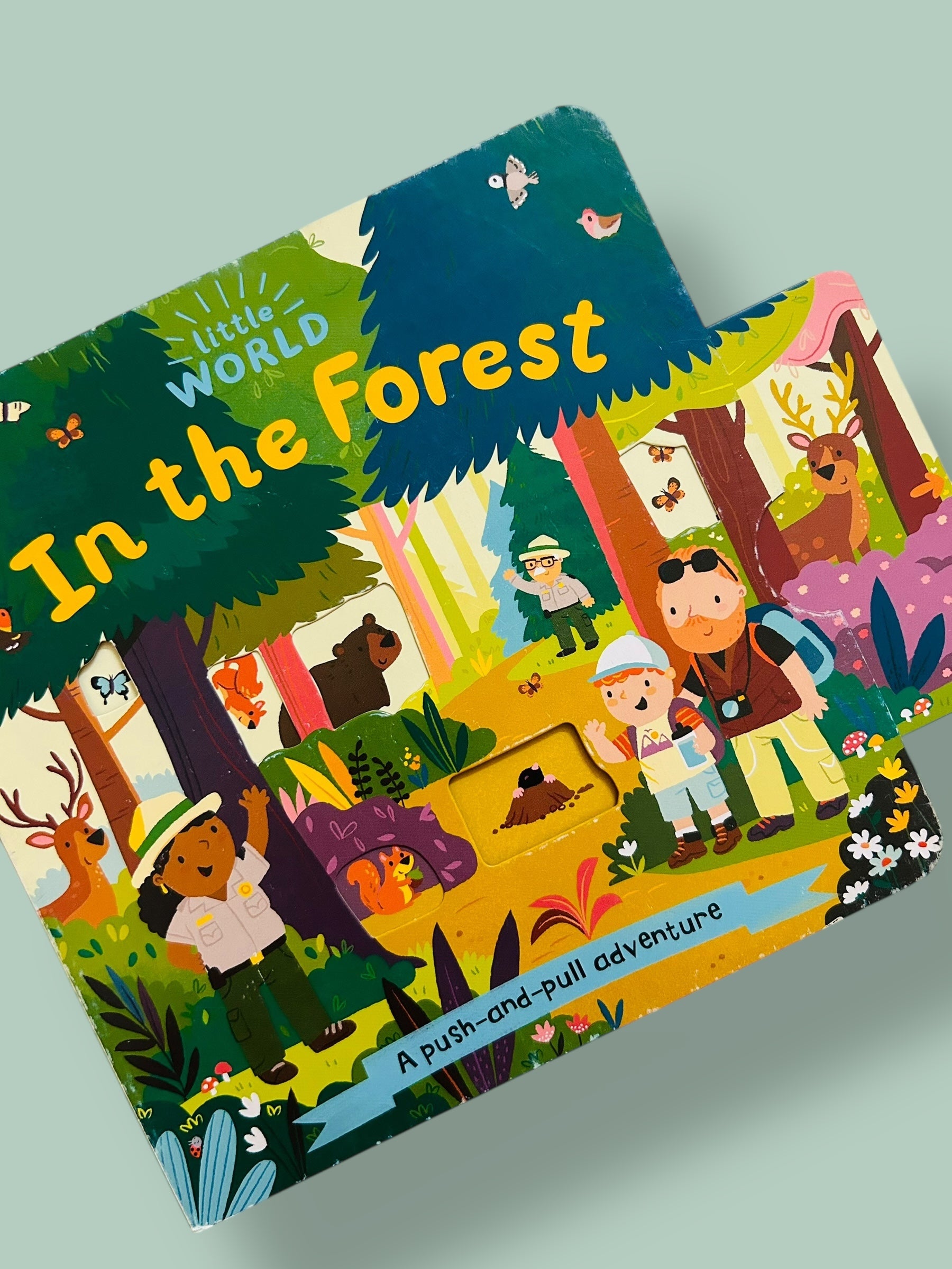 Little World : In the Forest