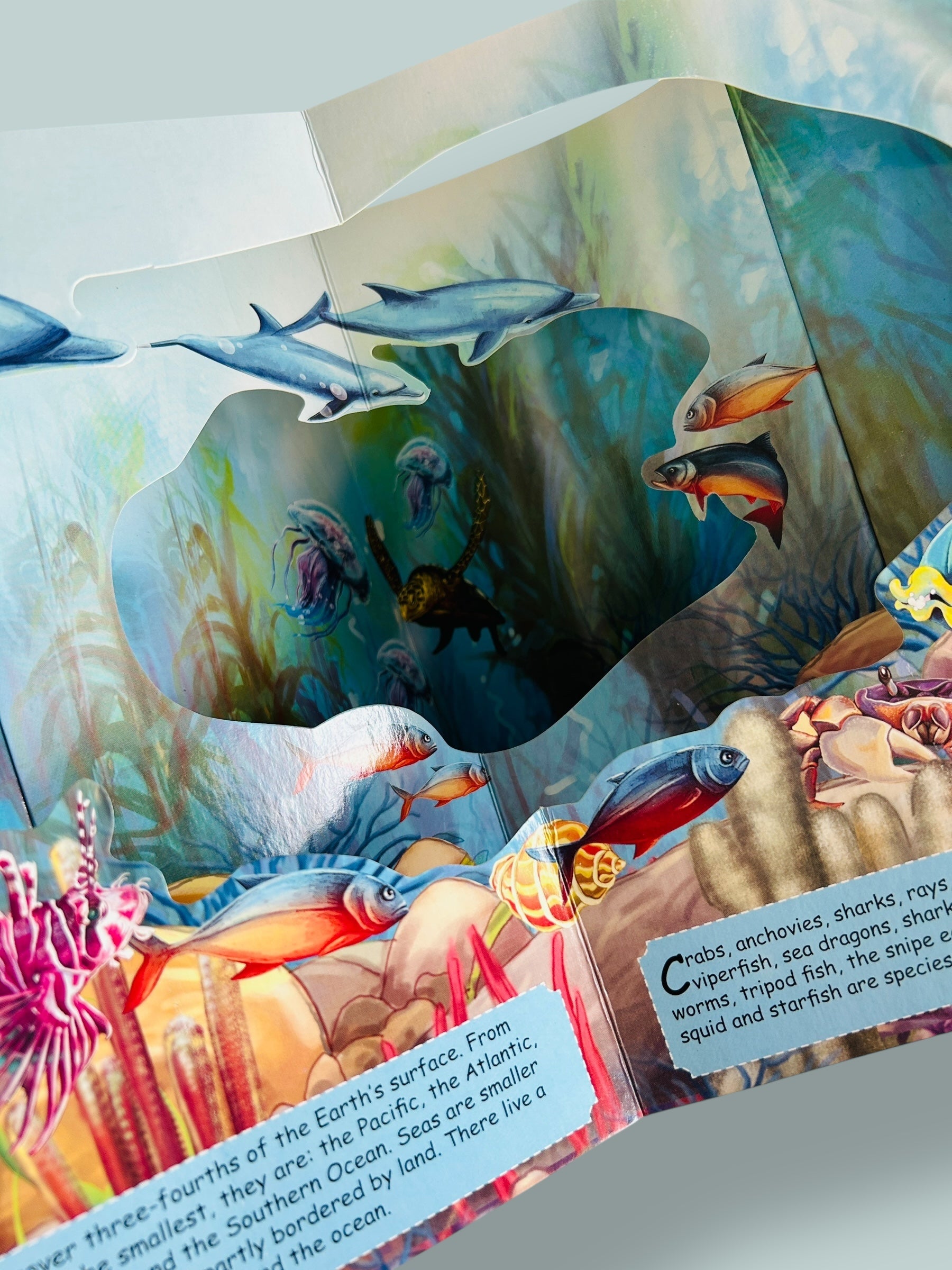 Under The Ocean - 3D Carousal Book