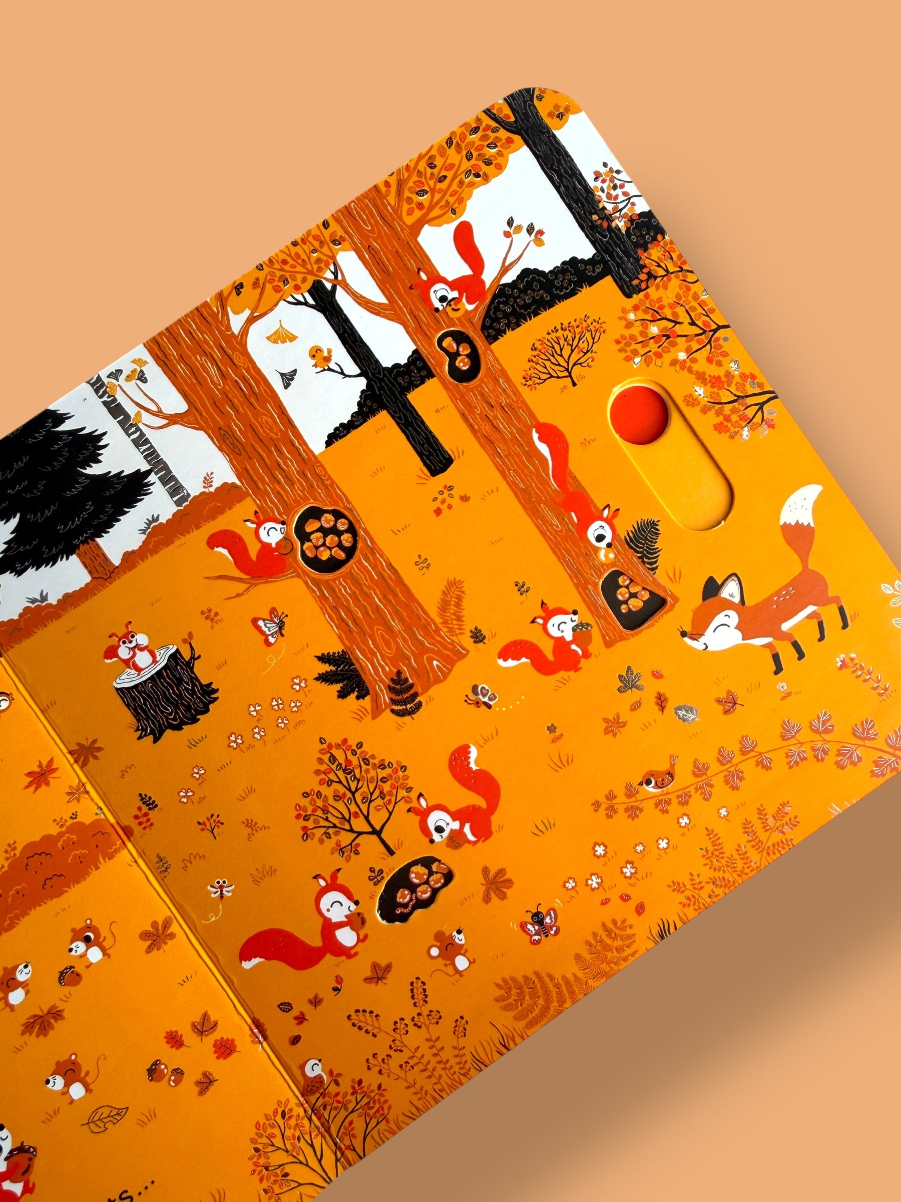 A Walk in the Woods (Sliding Board Book)