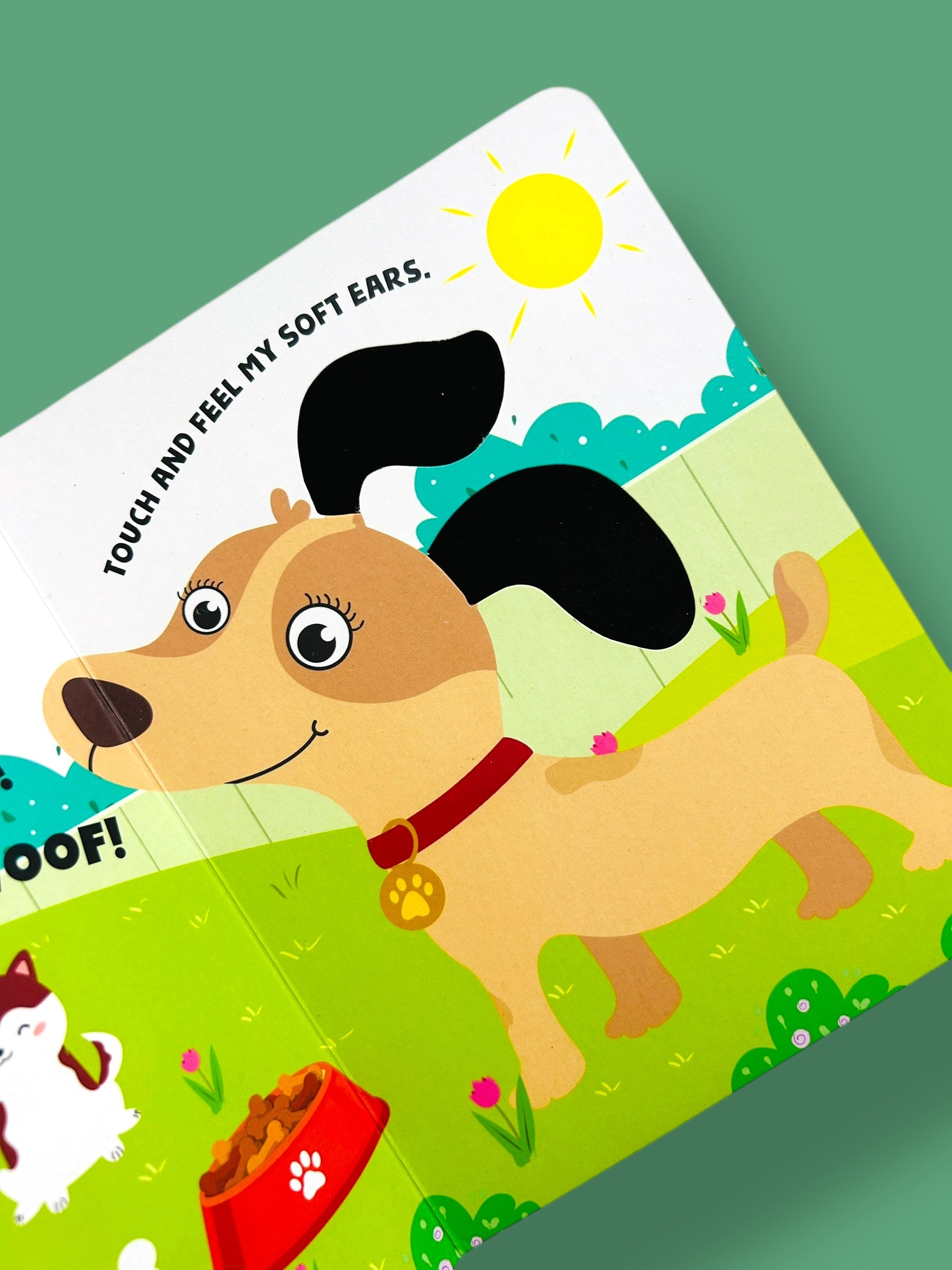 Touch and Feel - Pet Animals
