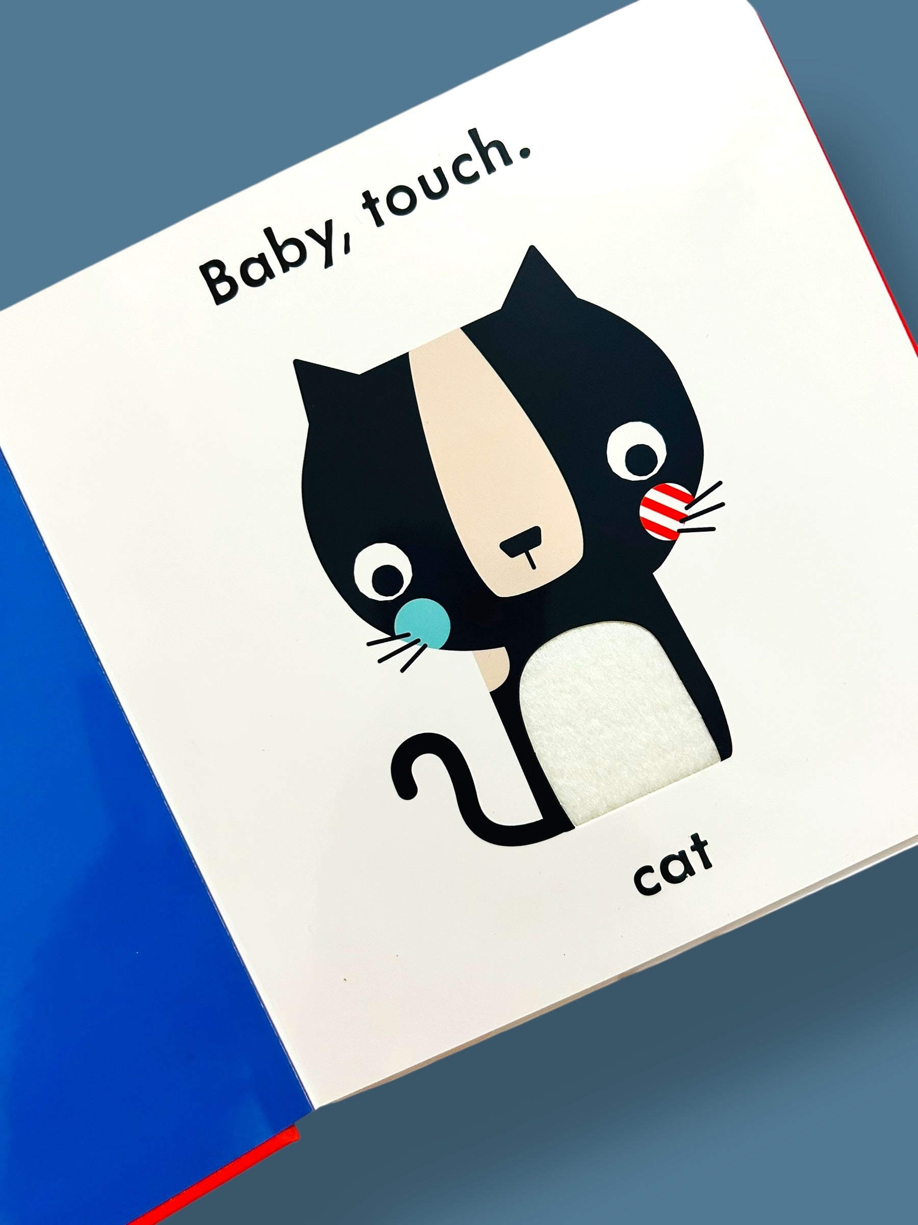 Baby Touch : Words
