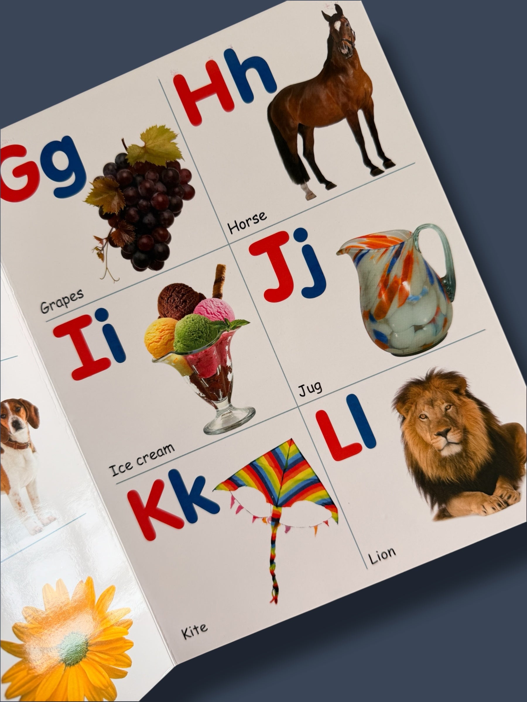 All in One Board Book
