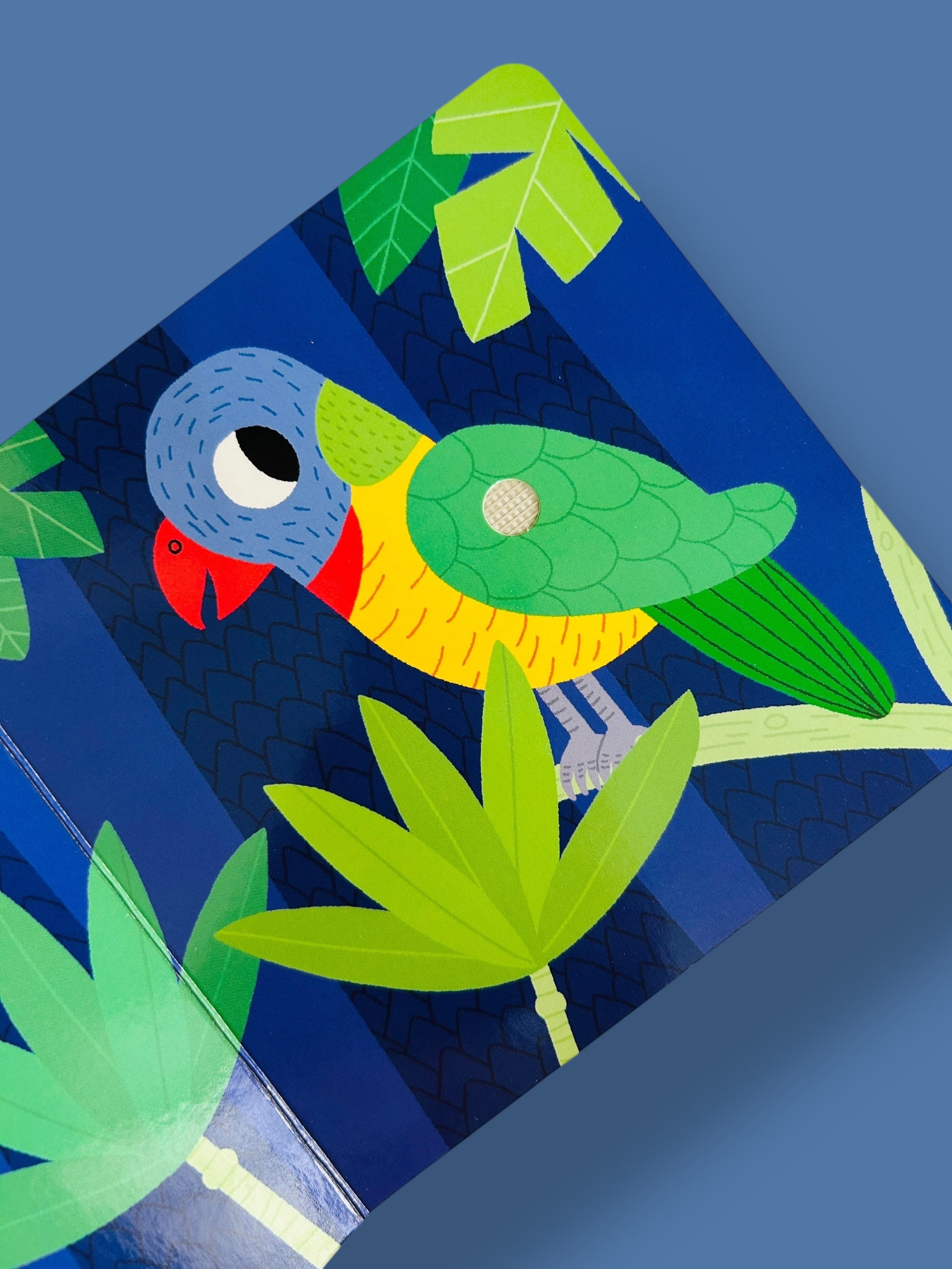 Listen to the Birds from around the world - Sound Book