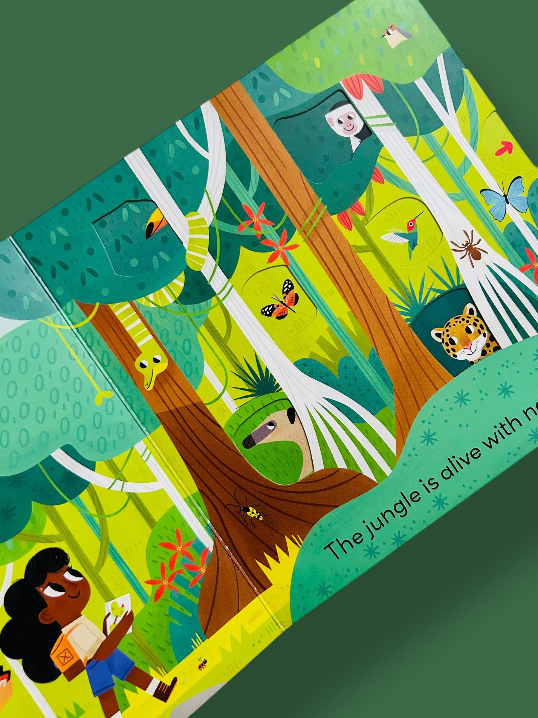 Little World : Jungle Journey