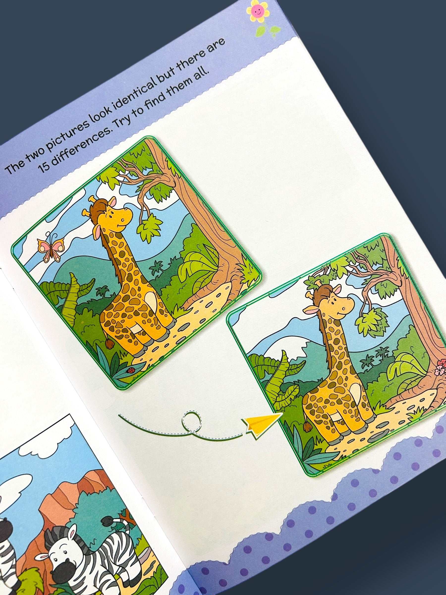 Spot the Difference - Activity Book