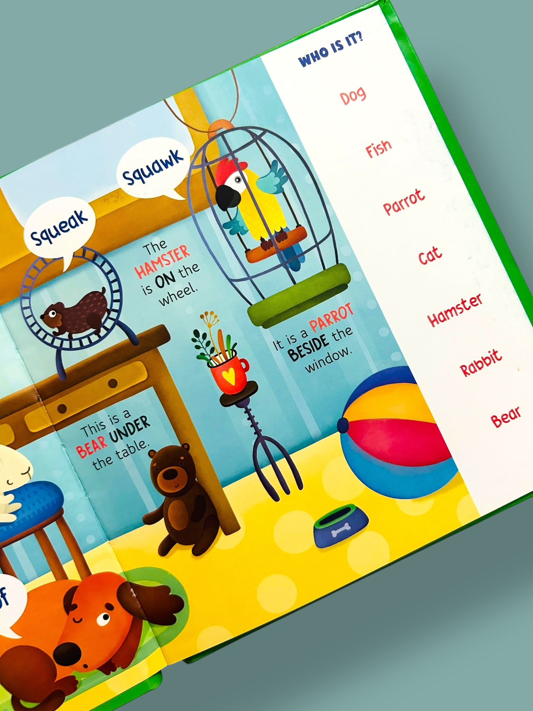 Learn With Pictures : Animals