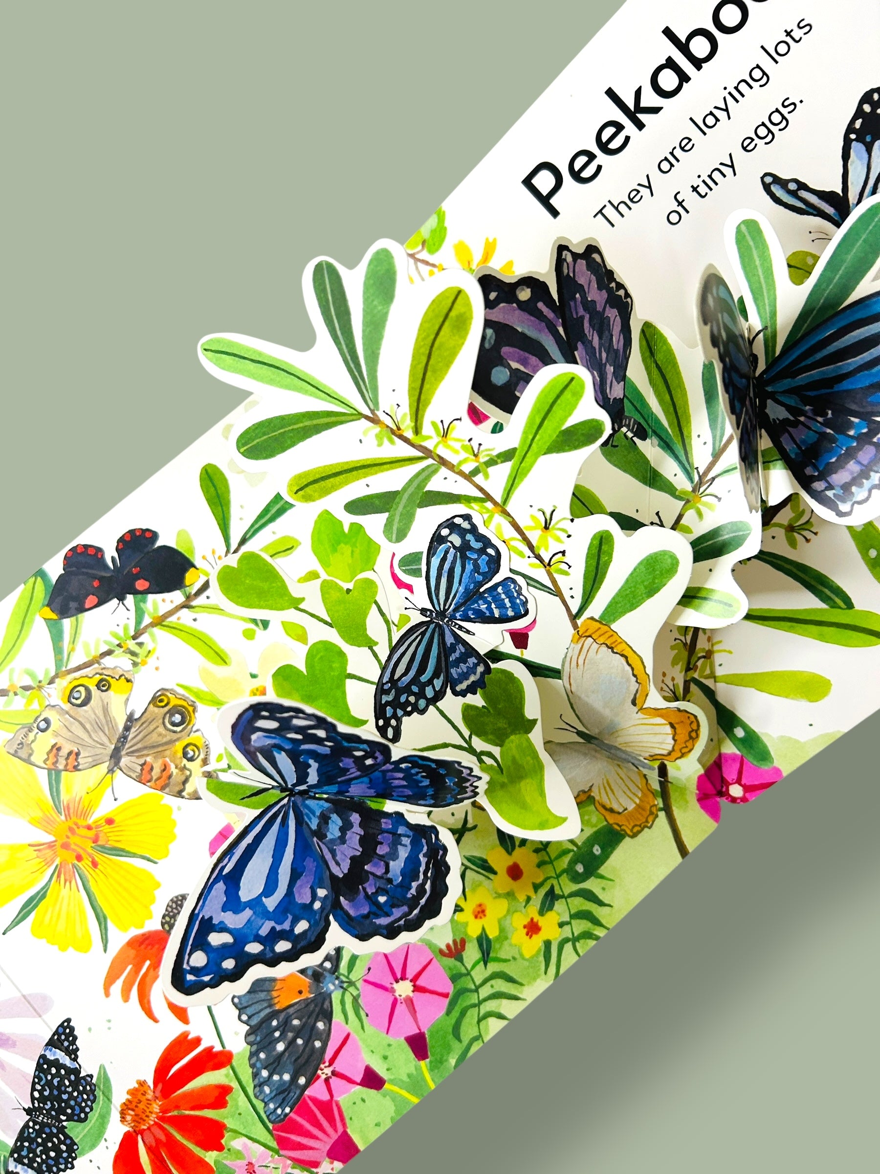 Pop-up Peekaboo! Butterfly