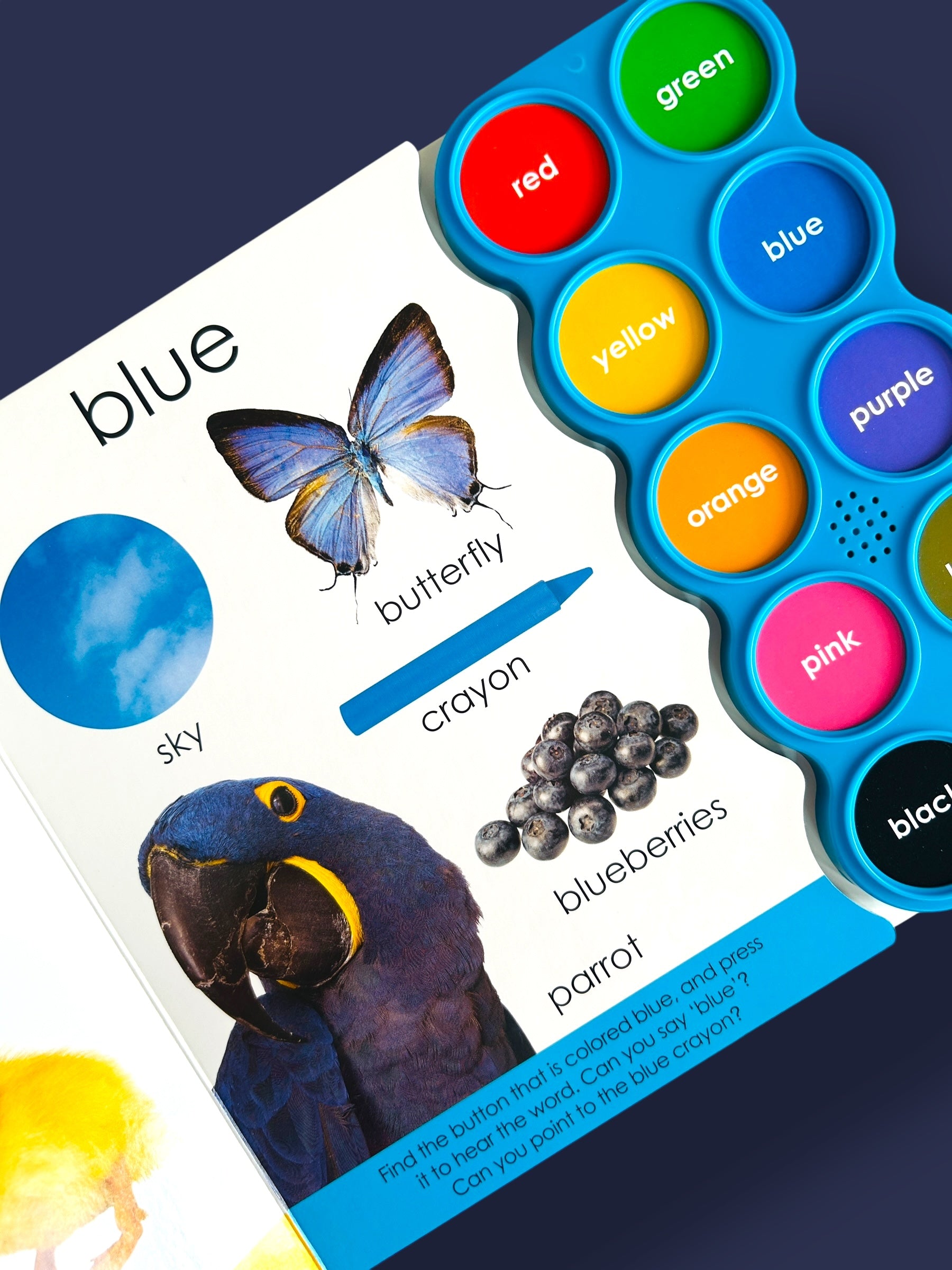 Simple First Words - Let’s say our Colors - Sound Book