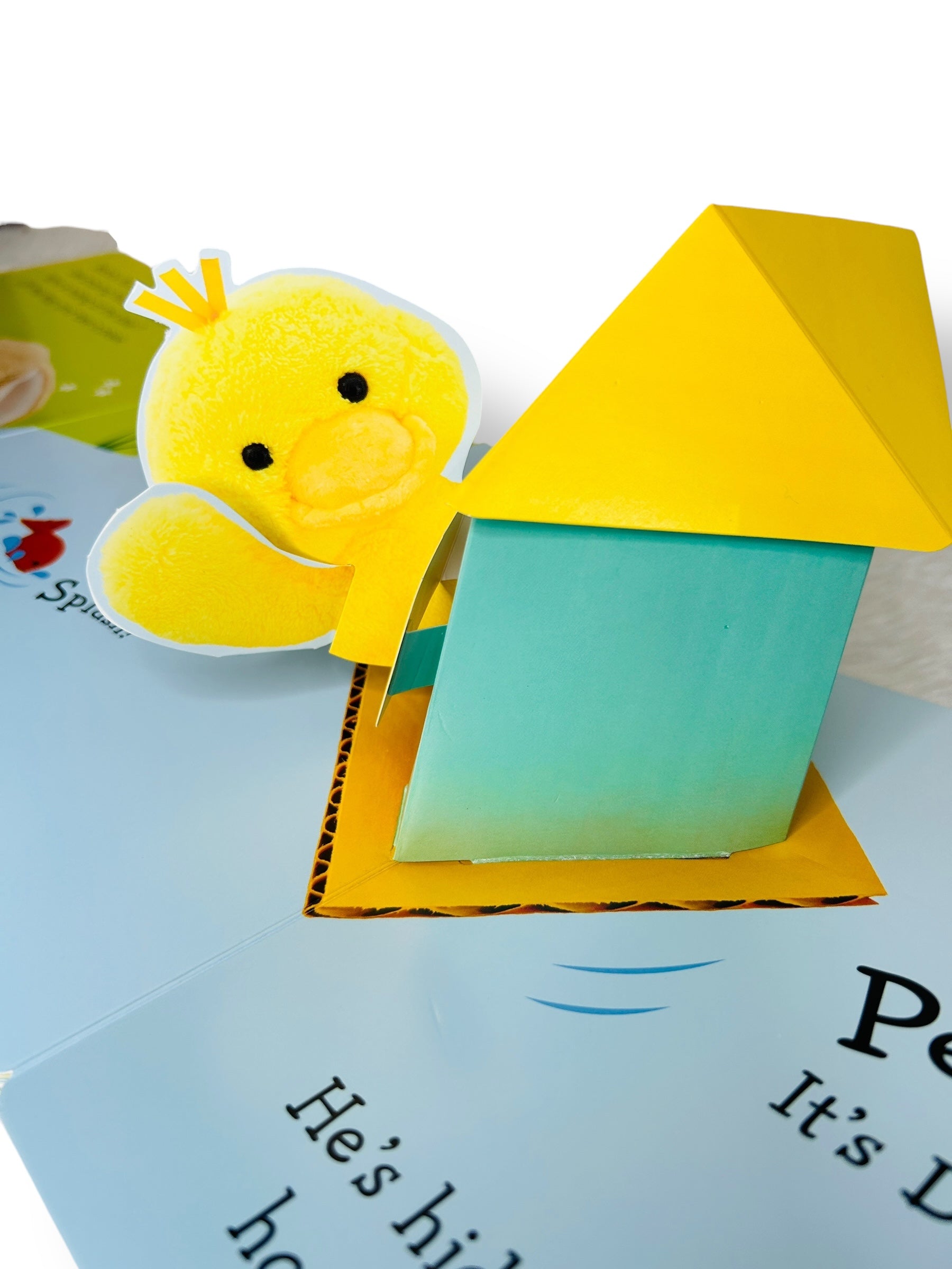 Pop-up Peekaboo! Bunny