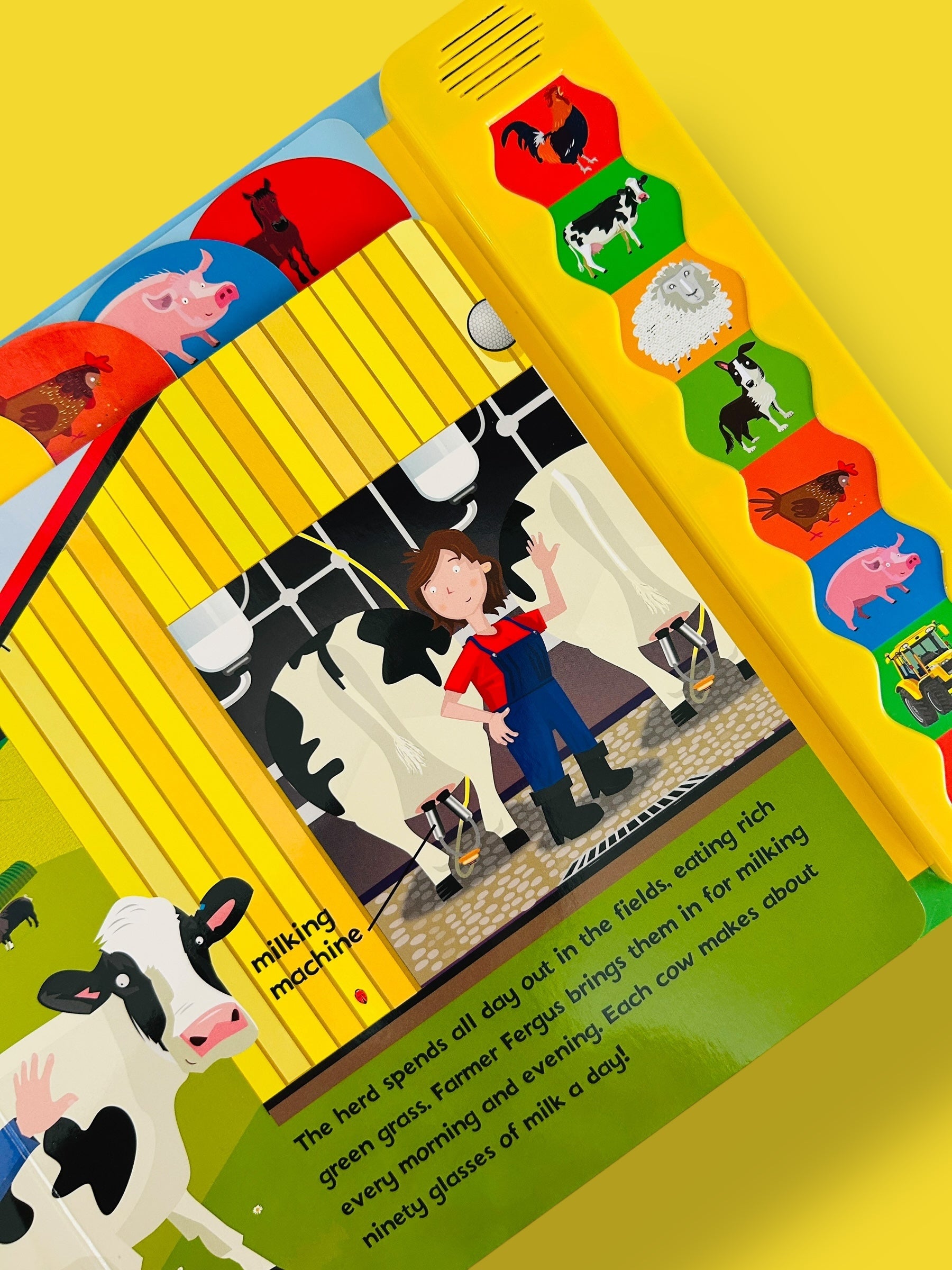 Ladybird sound book: Farm Hullaballoo!