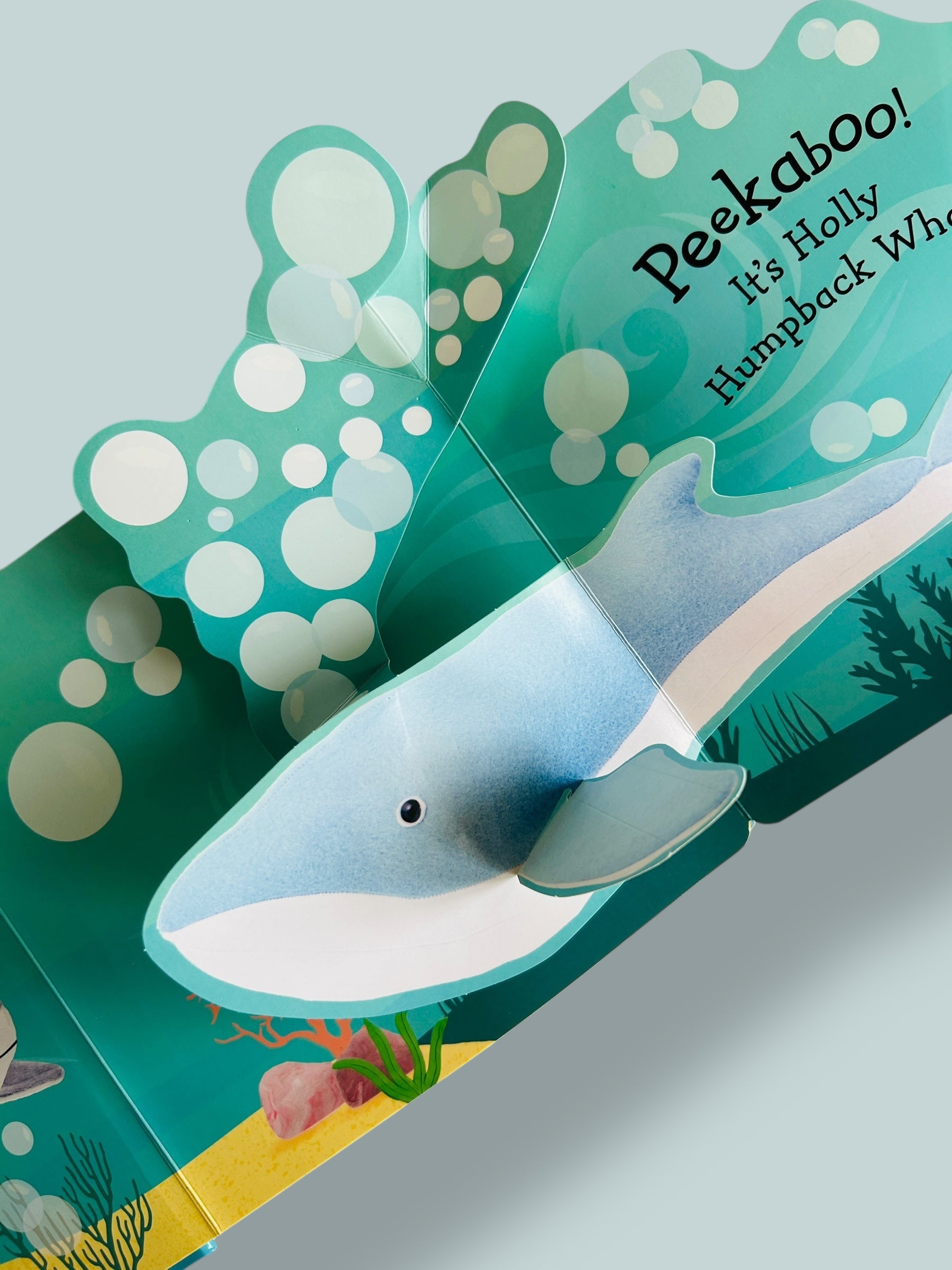 Pop-Up Peekaboo! Shark