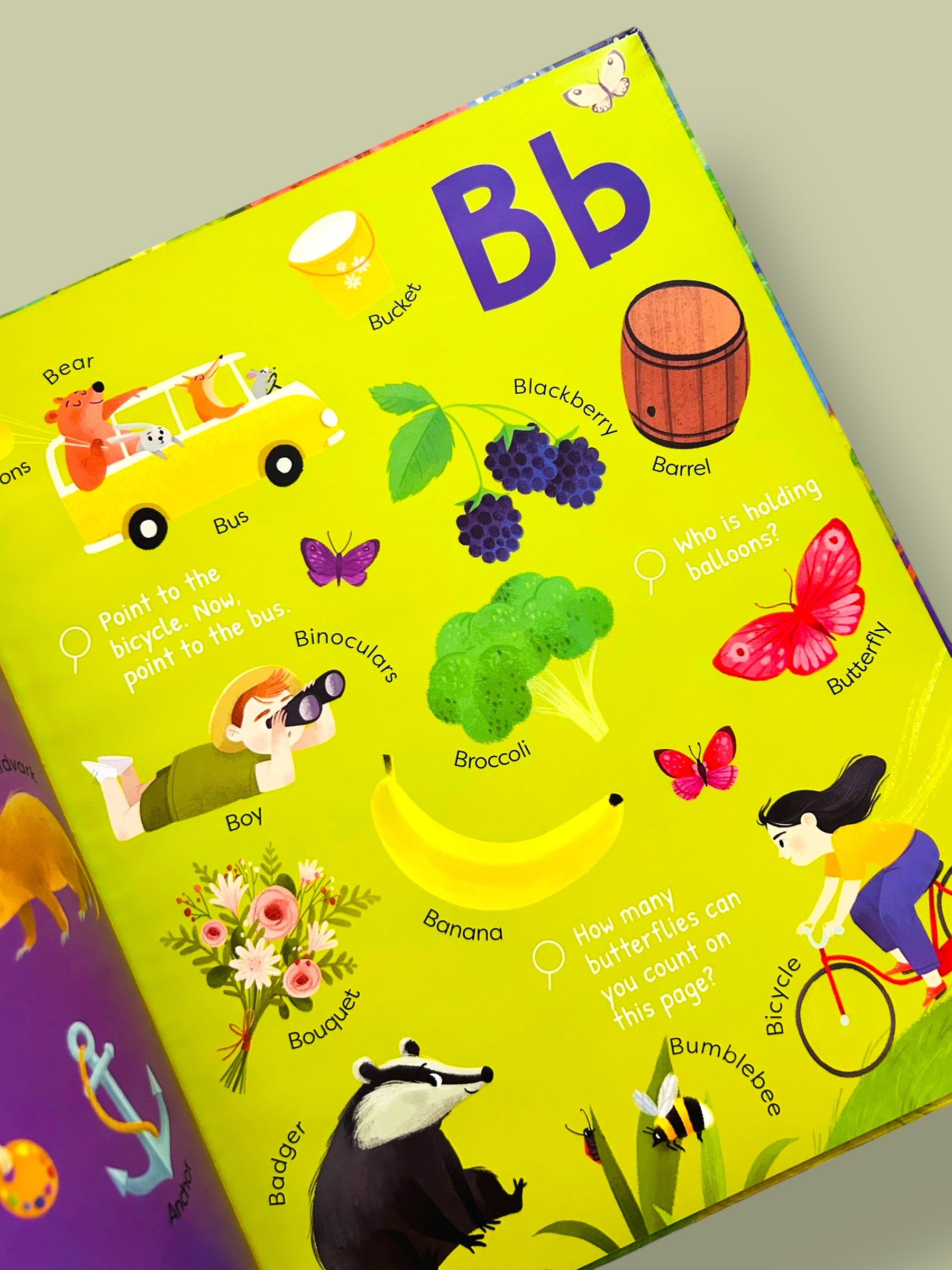 The Big Book of ABCs