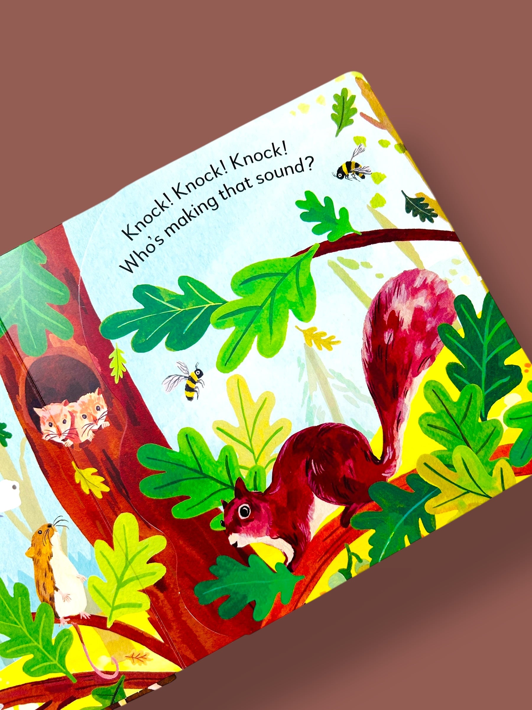 Pop-Up Peekaboo! Forest