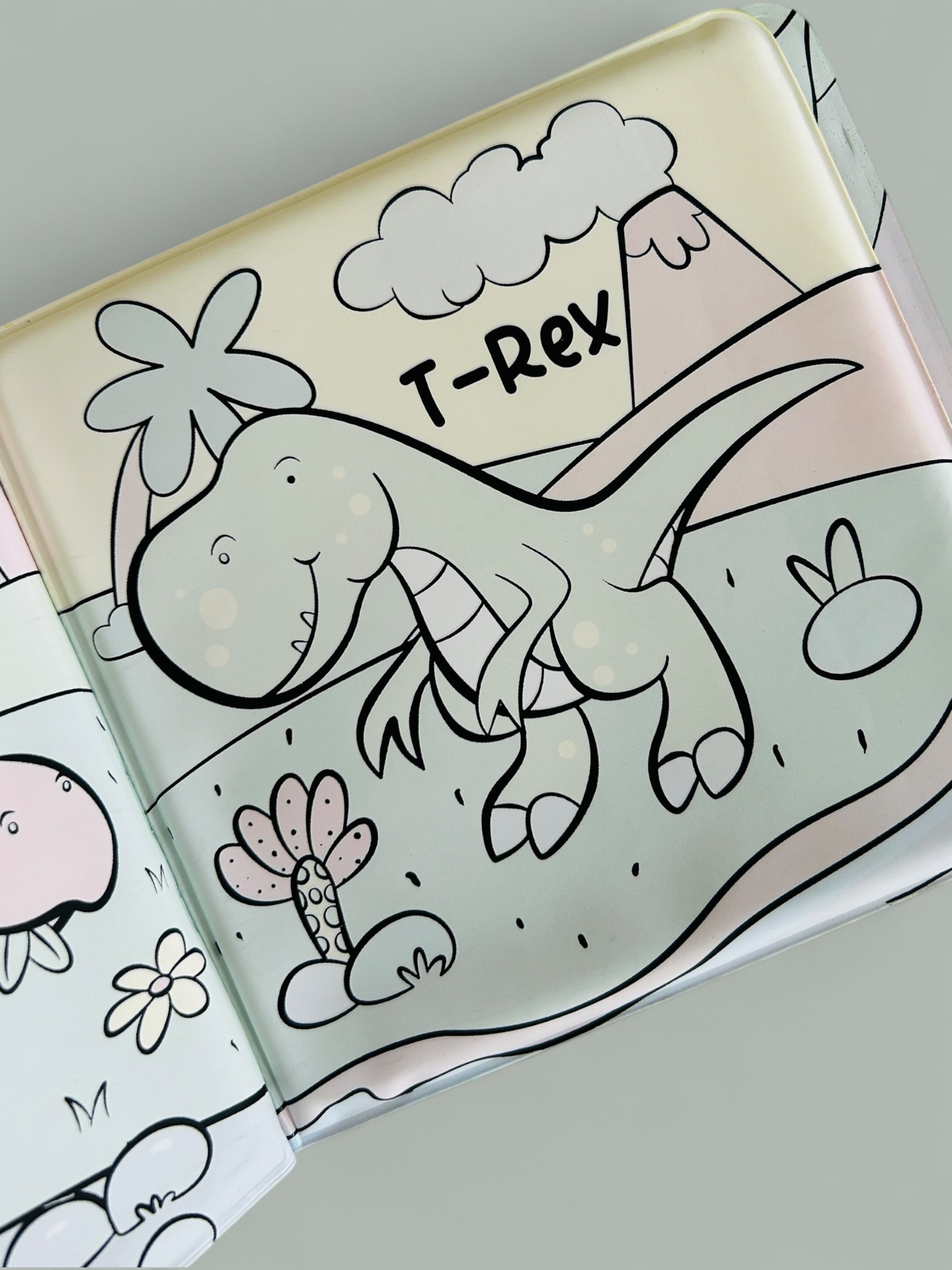 The Land of Dinos - Bath Book