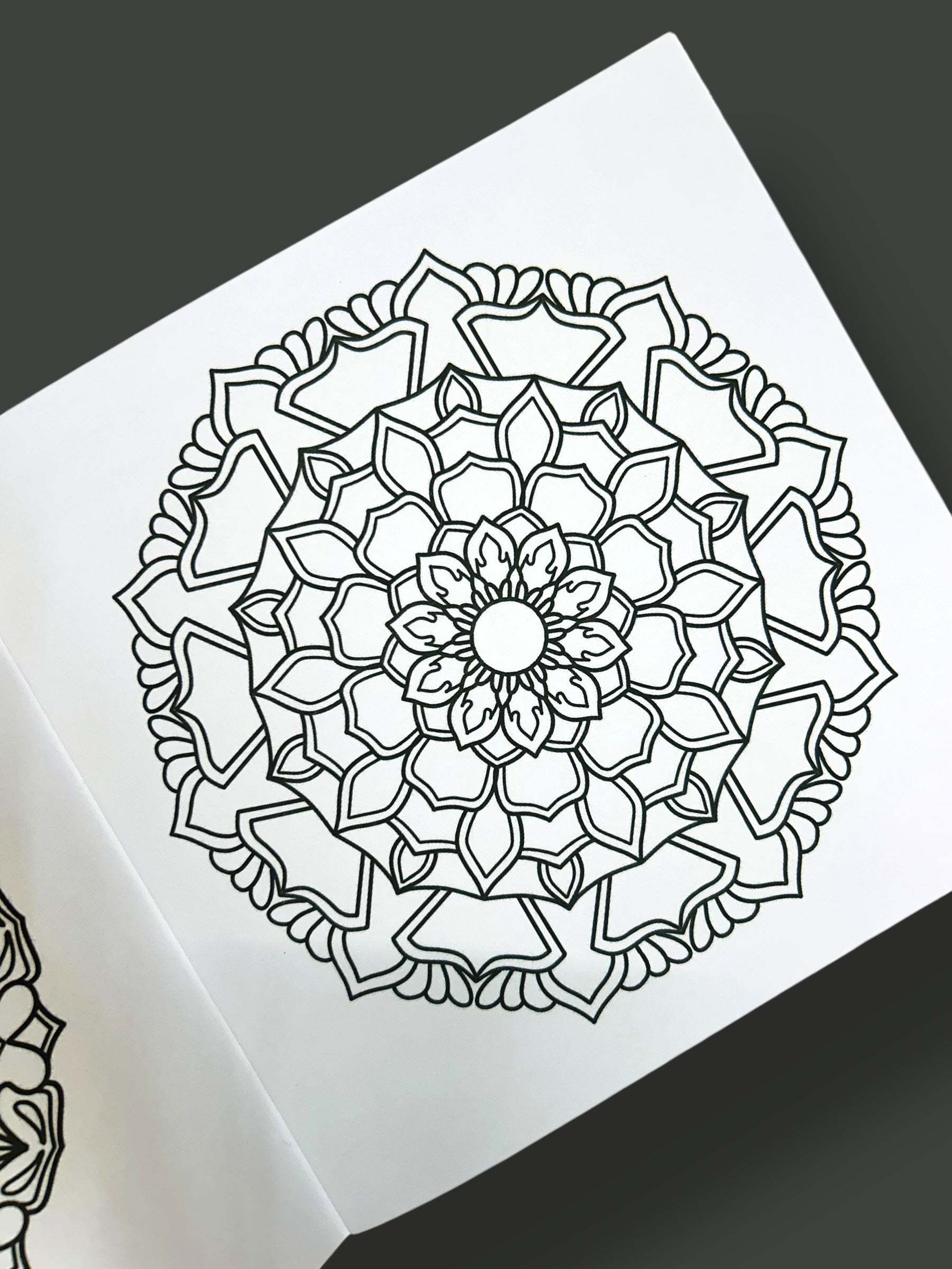 Mandala Magic Mystique