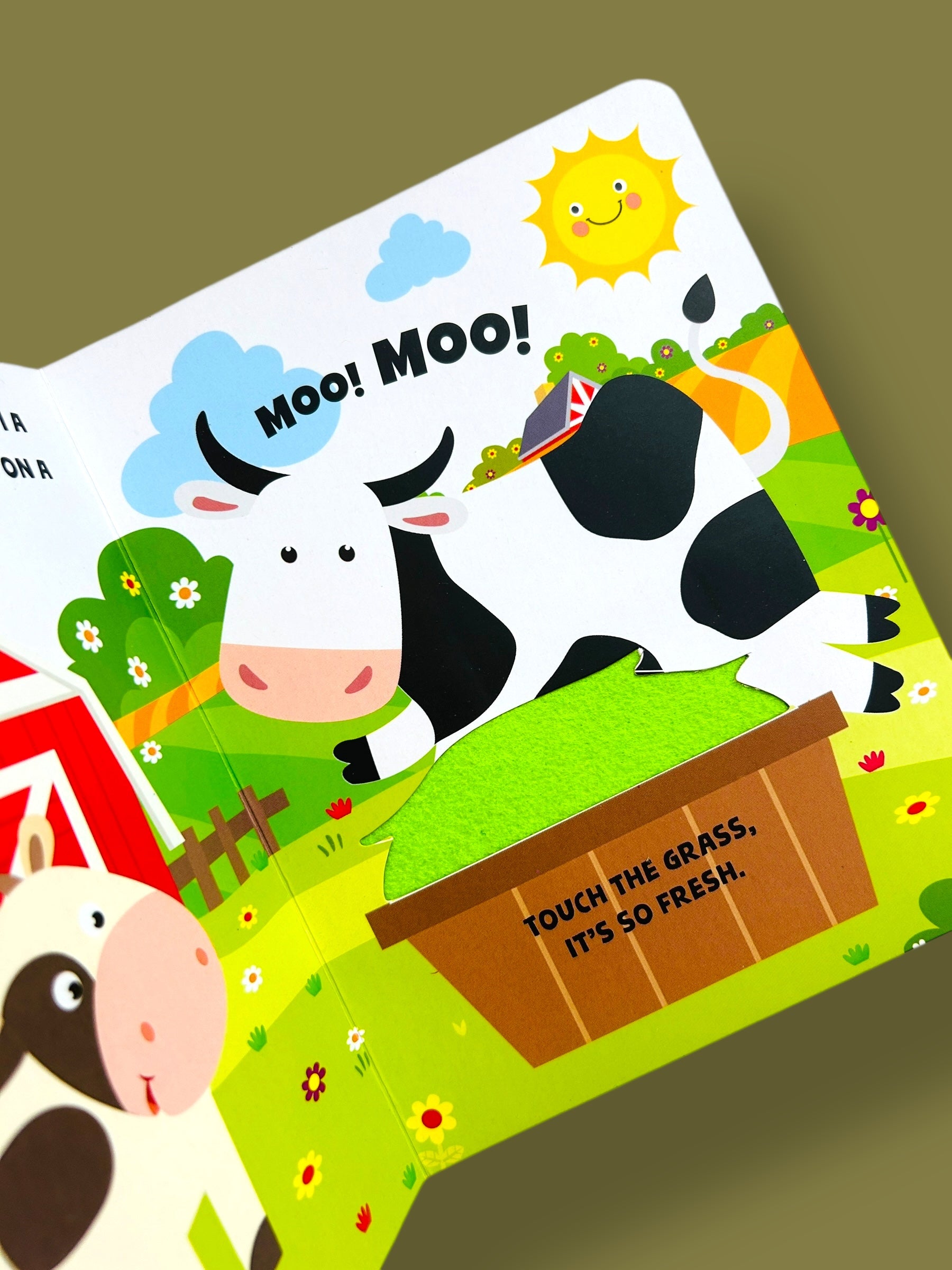 Touch and Feel - Farm Animals