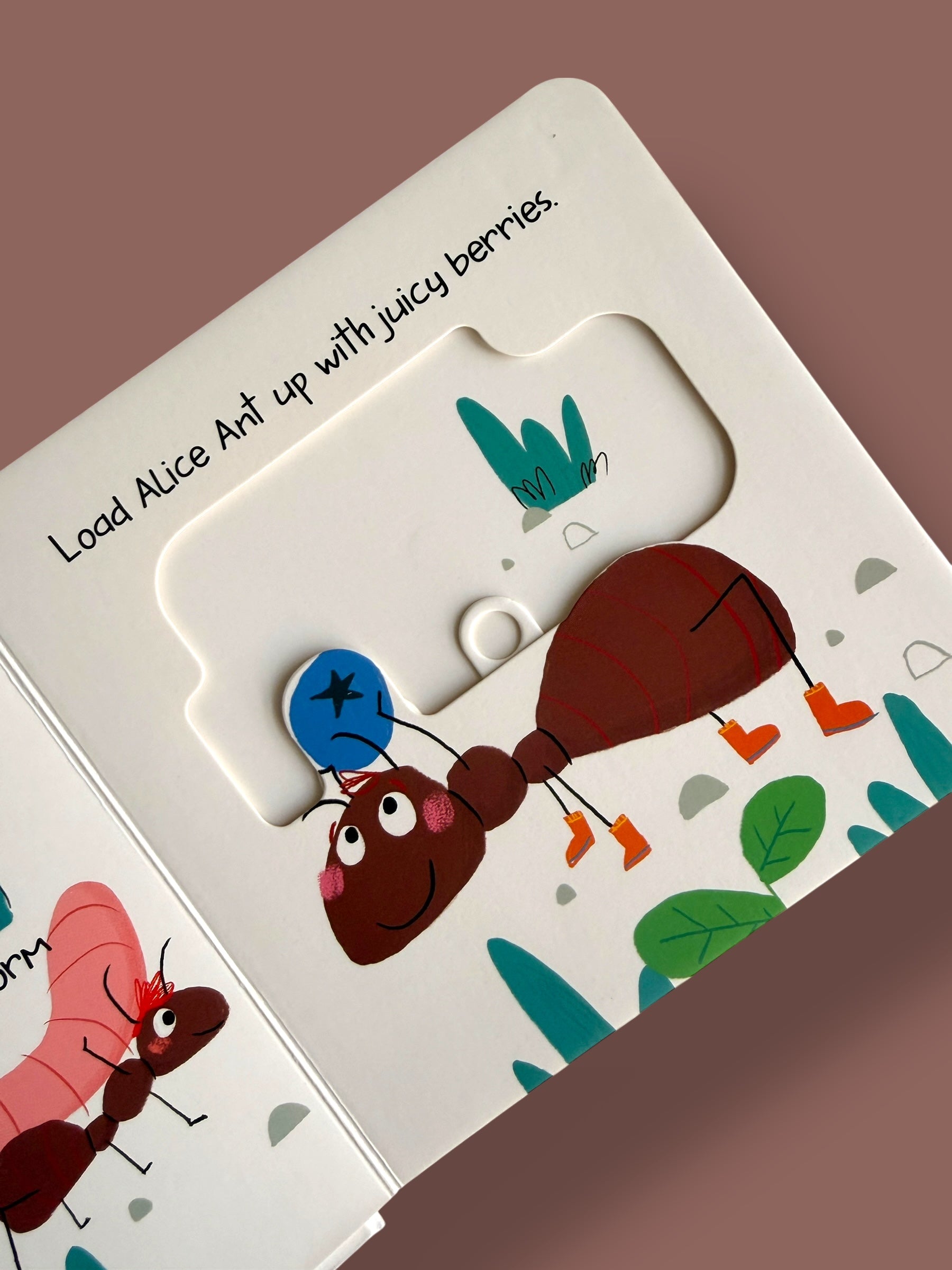 Slide & Peek - Little Creatures