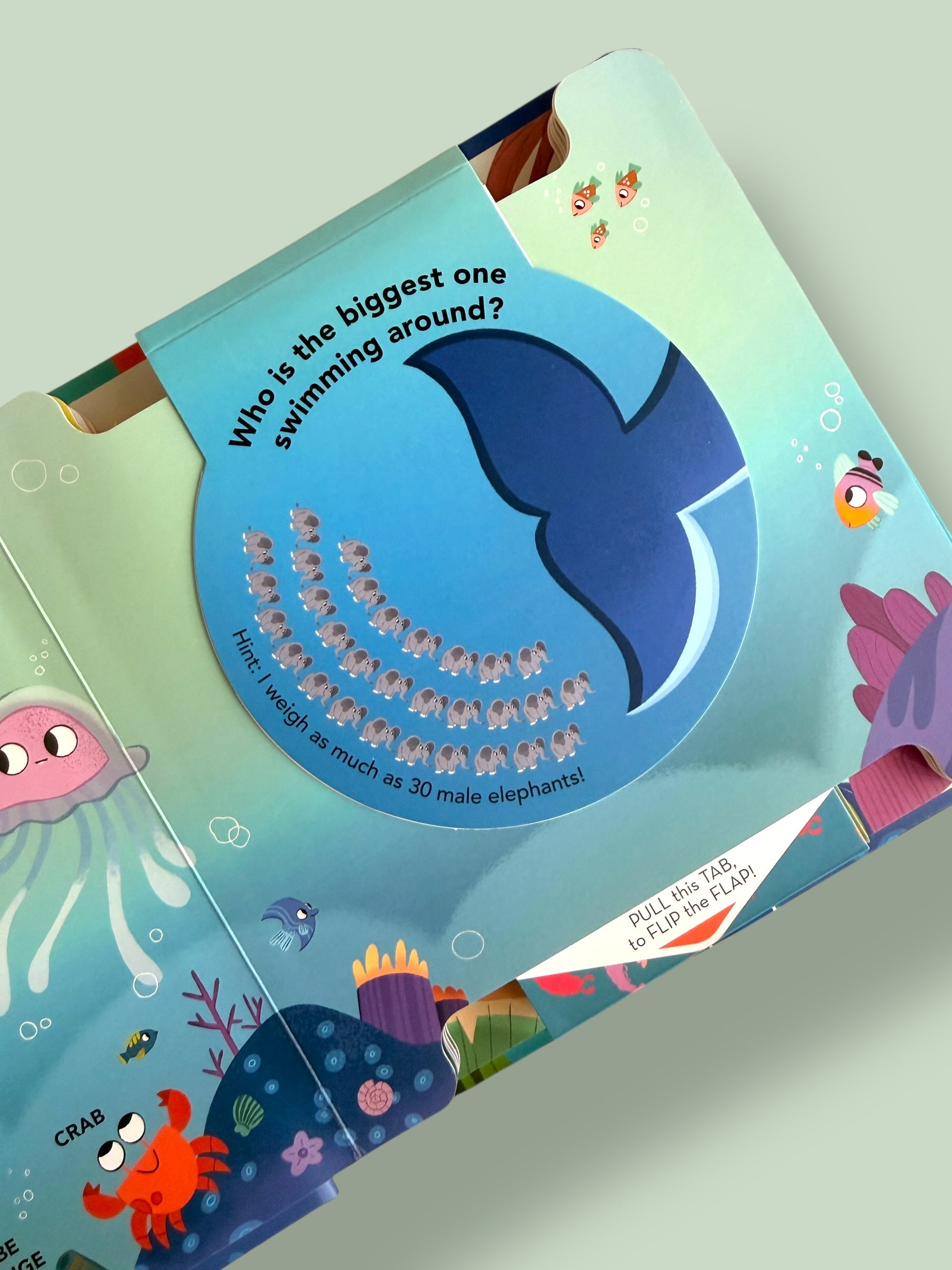 Flip Flap Facts - Animals