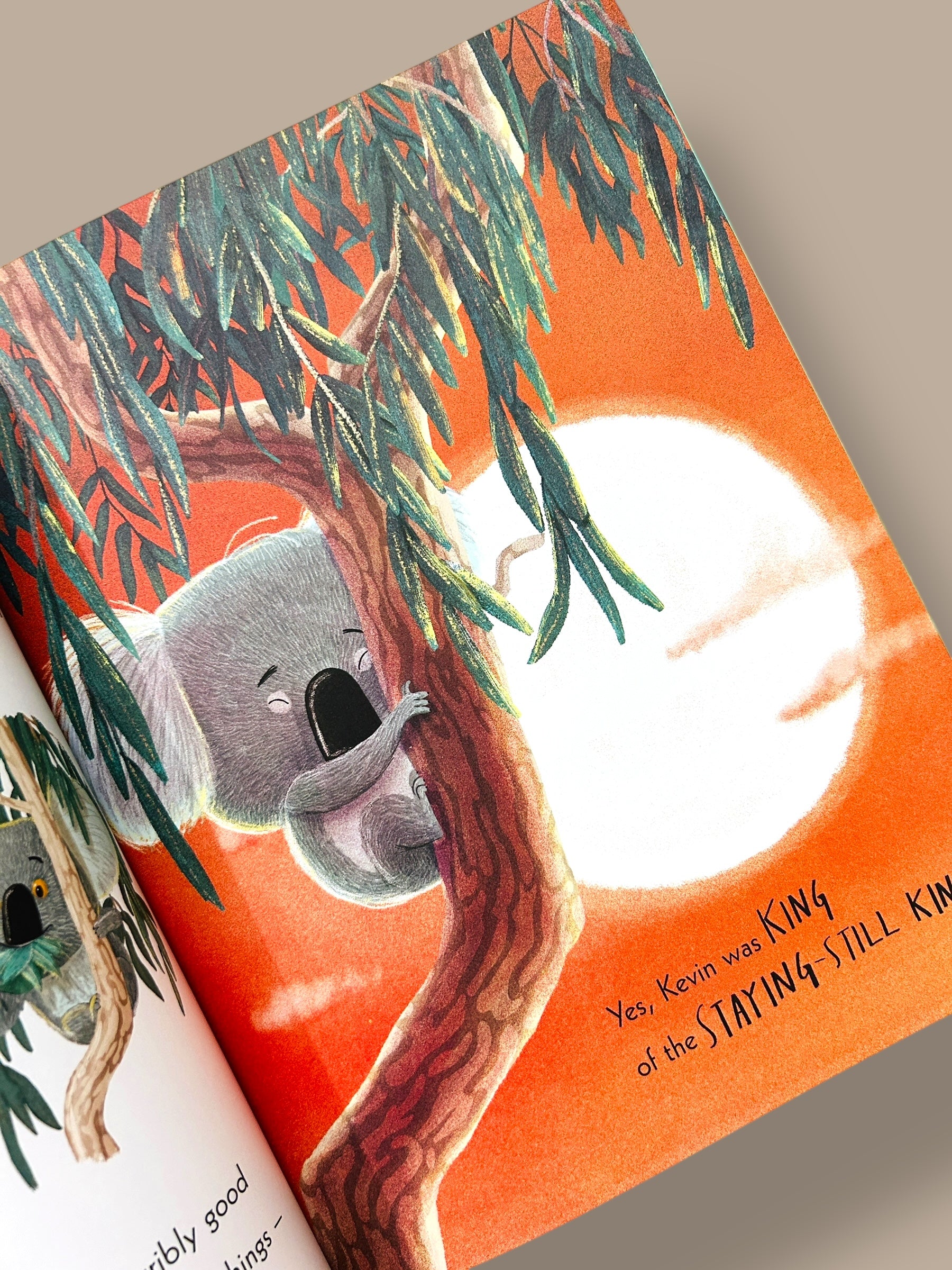 The Koala Who Could
