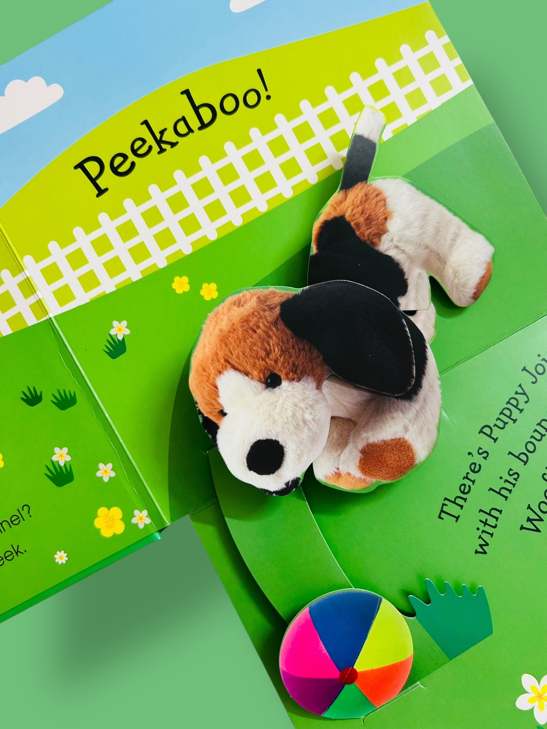 Pop-up Peekaboo! Pets