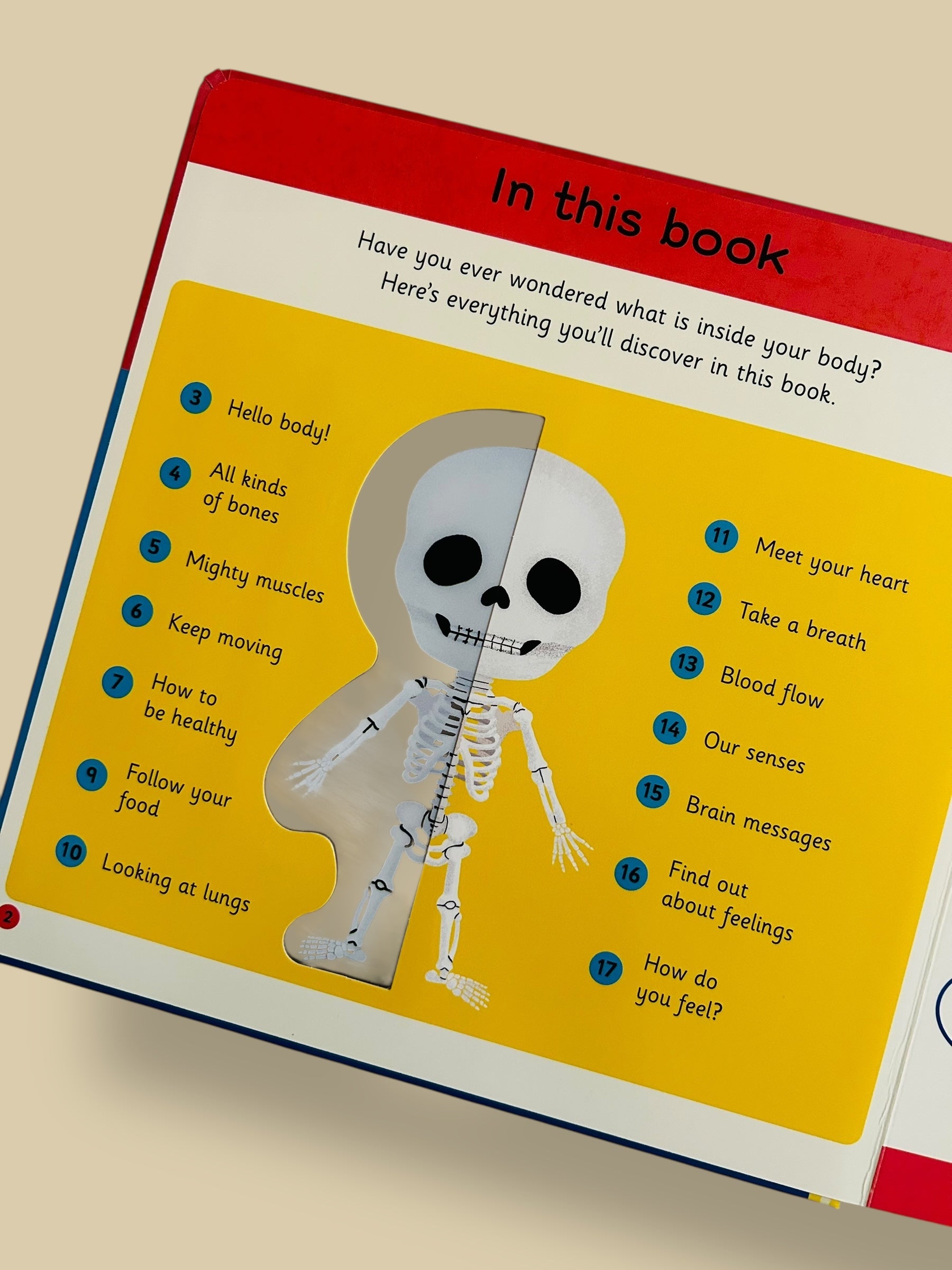 My First Body Book