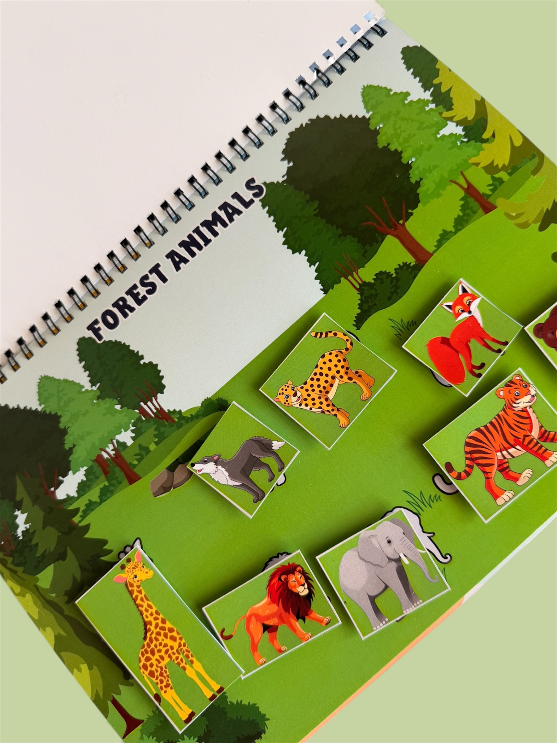 My Busy Book - All in One