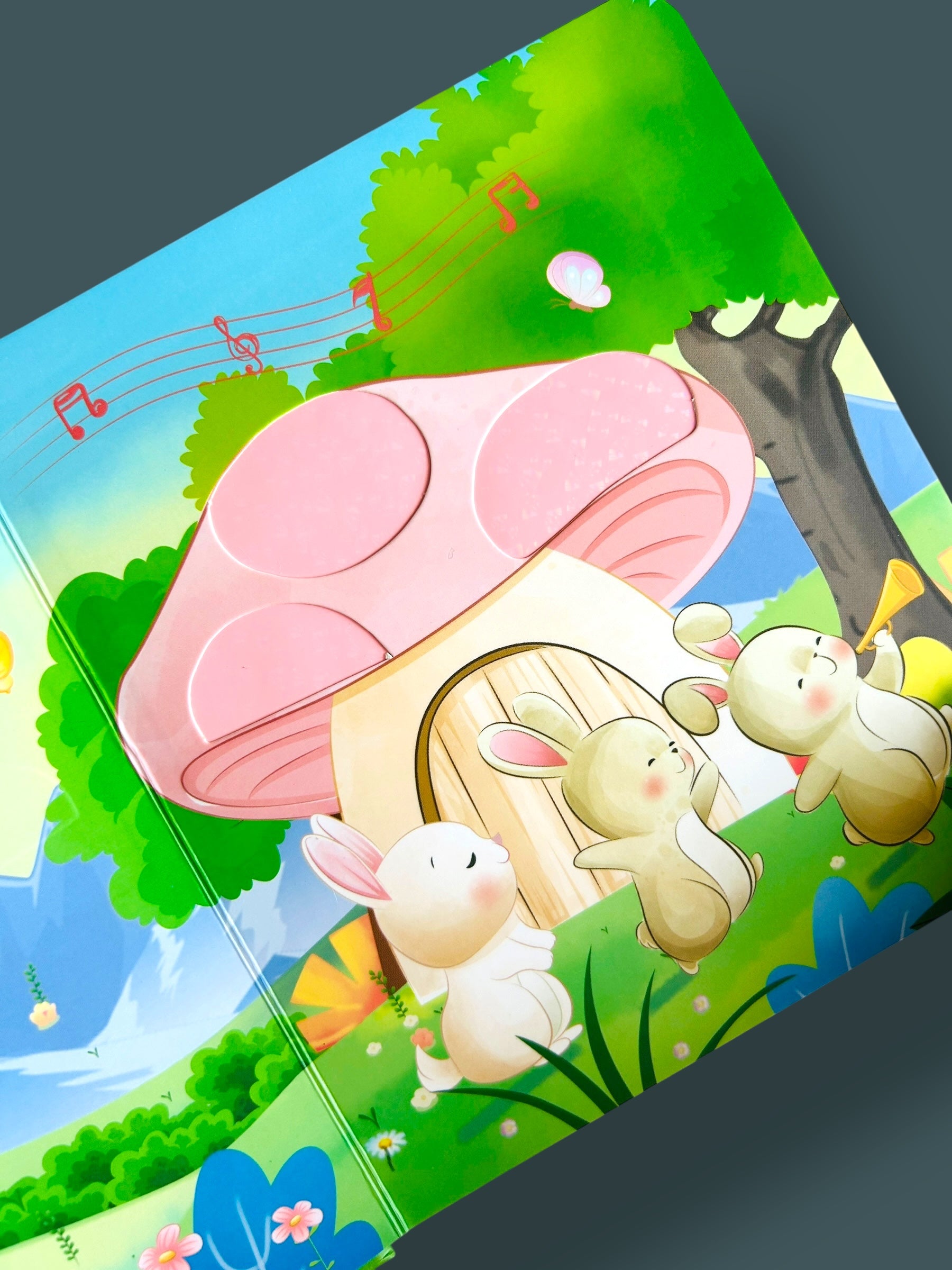 Touch and Feel - Bunny's Party
