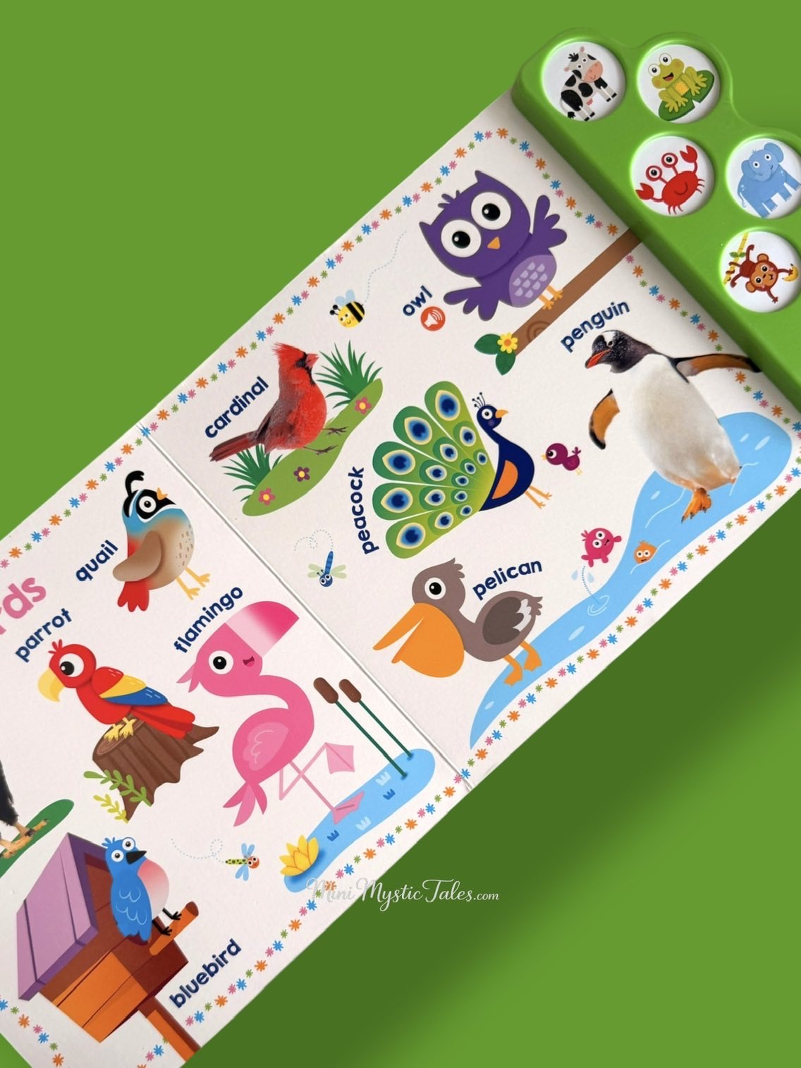 Inside pages of Let’s Get Talking! Animals sound book featuring birds including parrot, quail, flamingo, cardinal, peacock, owl, pelican and penguin.