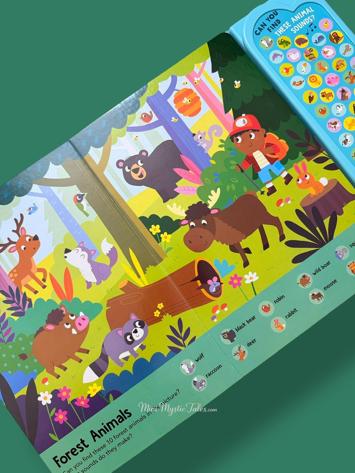 Look & Find Animal Kingdom forest scene featuring bear, deer, wolf, raccoon, rabbit and other woodland animals with interactive sounds.