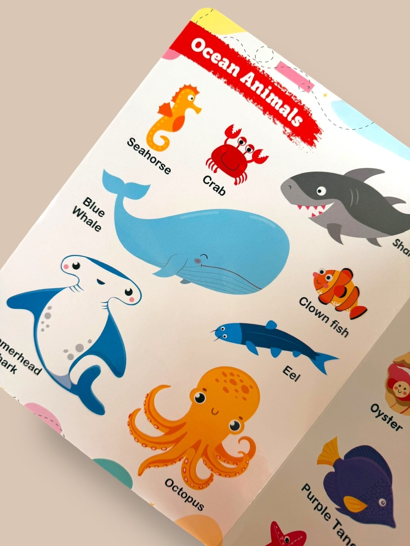 My First Animals board book page featuring ocean animals including blue whale, octopus, shark, crab, seahorse, eel and clown fish for toddlers