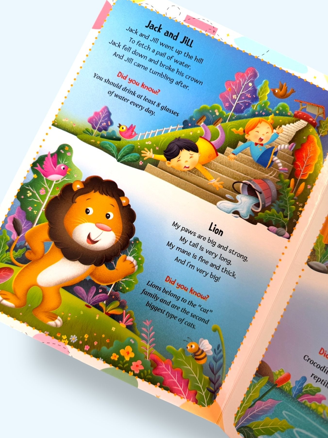My First Rhymes board book page featuring Jack and Jill and Lion rhymes with engaging illustrations and fun educational facts for children