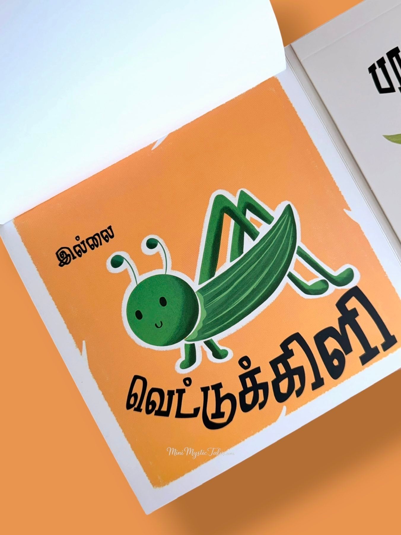 Tamil Guess and Flap board book revealing a grasshopper after lifting the flap to encourage observation and vocabulary