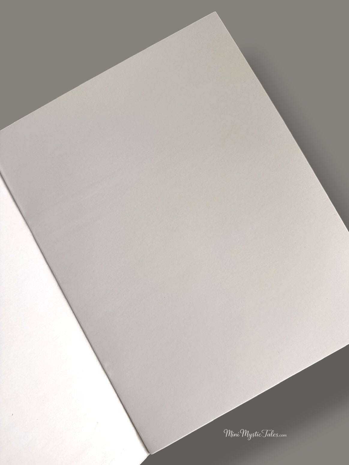 Blank reusable sheets inside the Wipe and Clean Rough Book that can be written on, wiped with a wet cloth and used again.