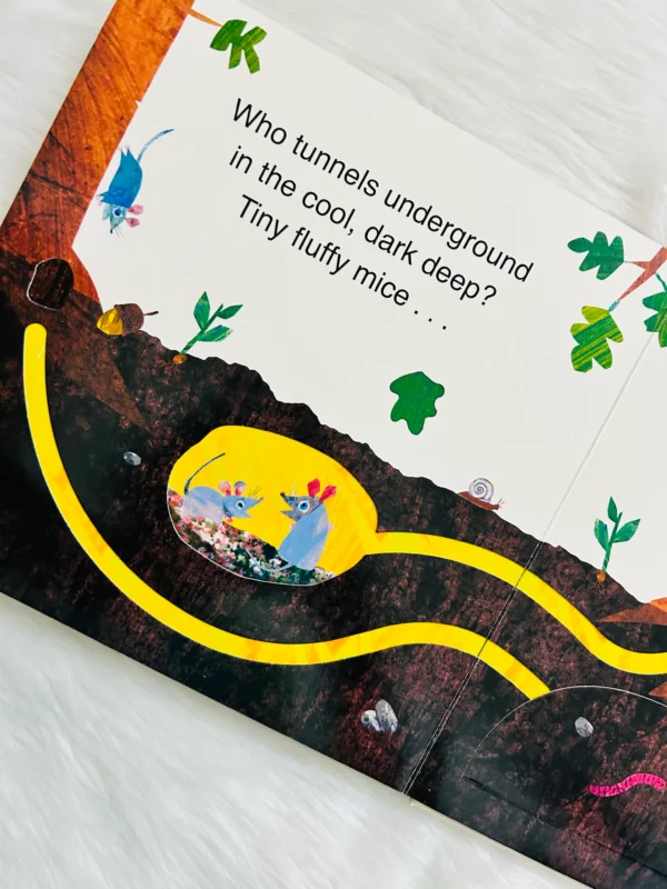 The Very Hungry Caterpillar’s Hide- and - Seek - Image 4