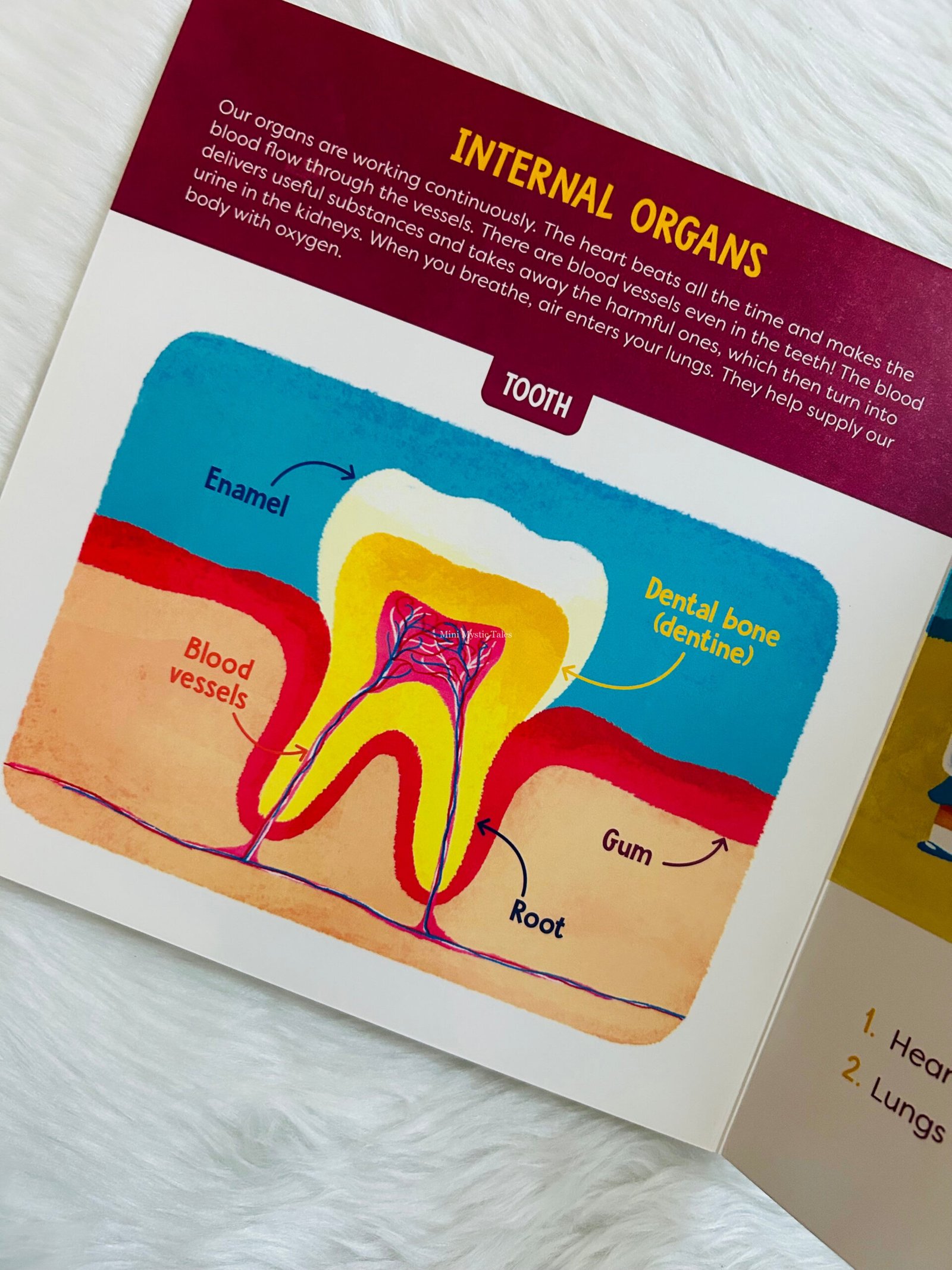 Visual Dictionary : My Body - Image 3
