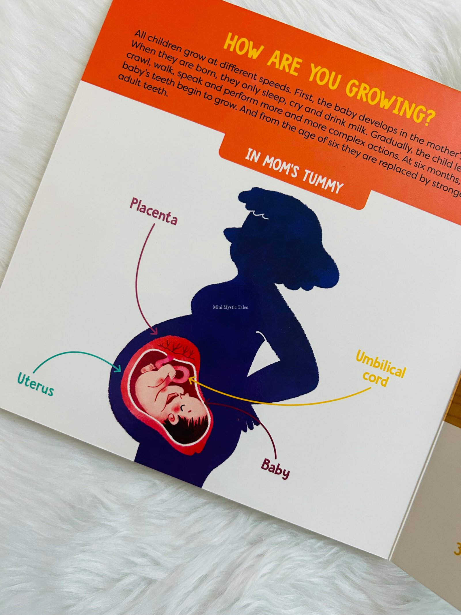 Visual Dictionary : My Body - Image 5