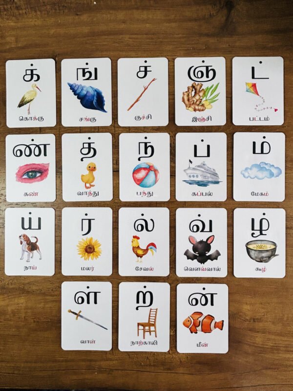 Mei Ezhuthukkal Flashcards