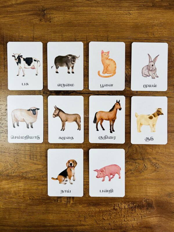 Farm Animals Flashcards