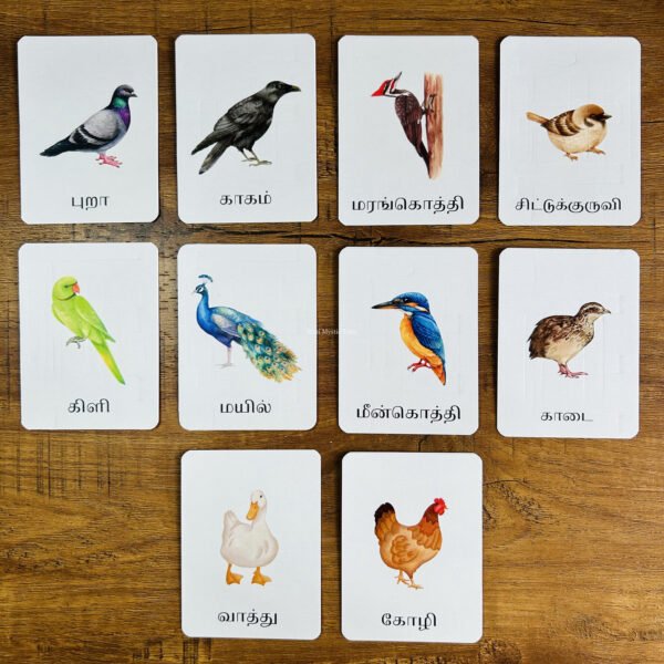 Birds Flashcards