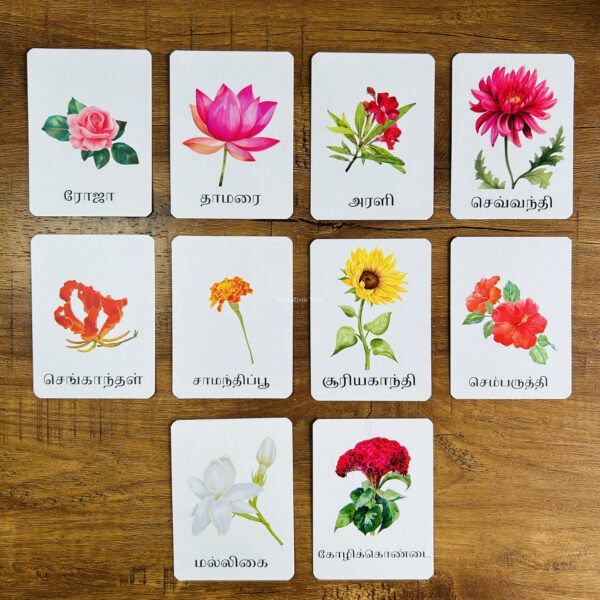 Flowers Flashcards