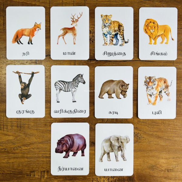 Wild Animals Flashcards