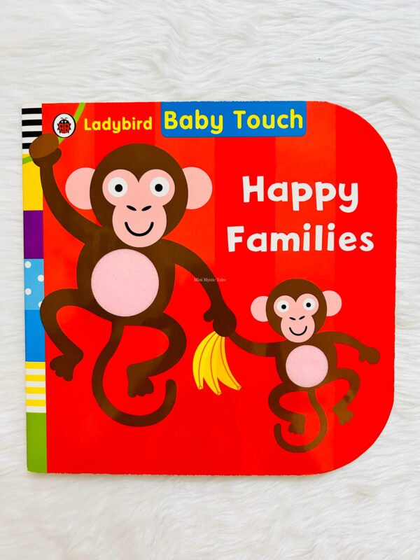 Ladybird Baby Touch : Happy Families