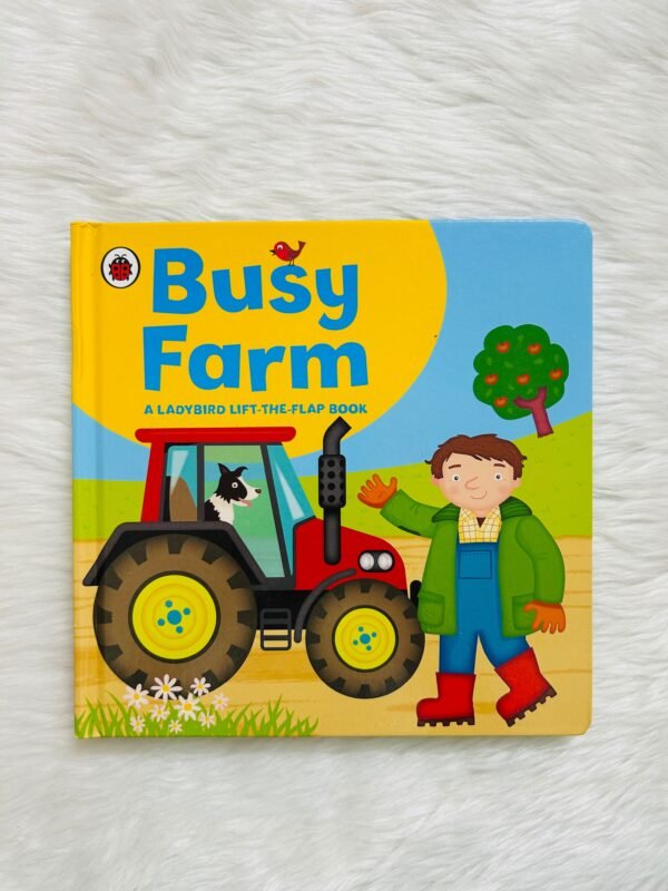 Ladybird lift-the-flap book : Busy Farm