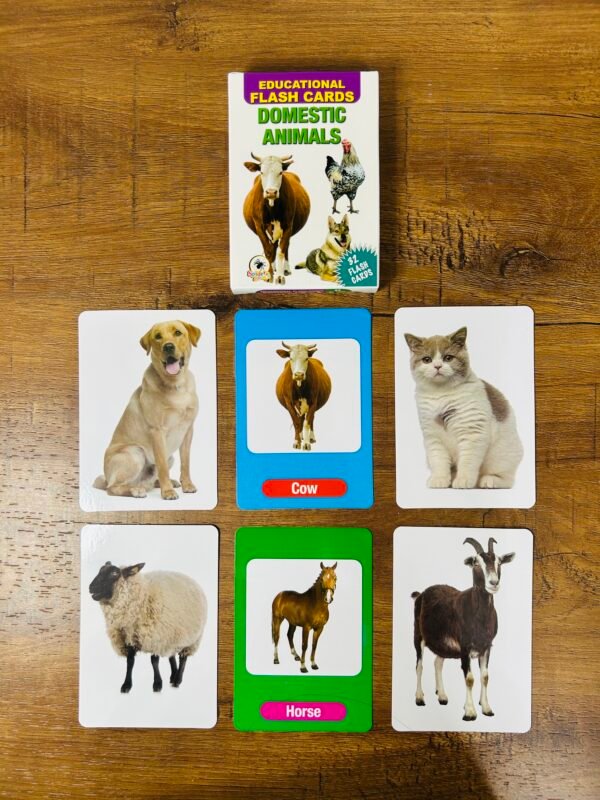 Domestic Animals - Flash Cards