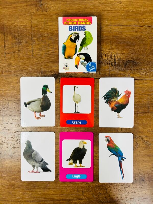 Birds - Flash Cards