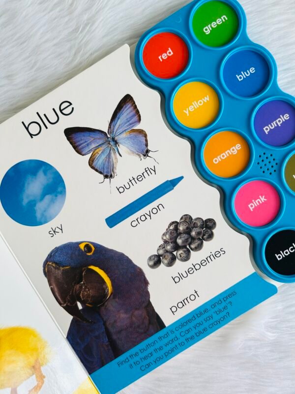 Simple First Words - Let’s say our Colors - Sound Book - Image 2