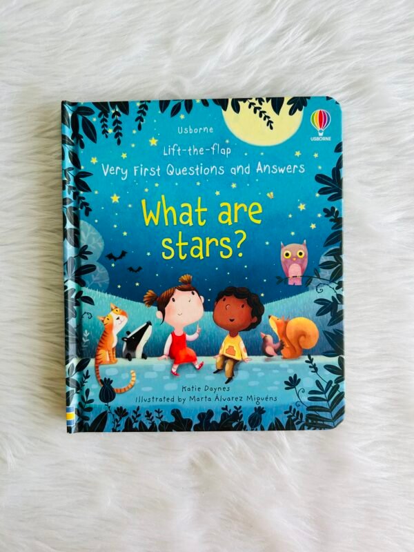 Usborne Lift the Flap - What are Stars?