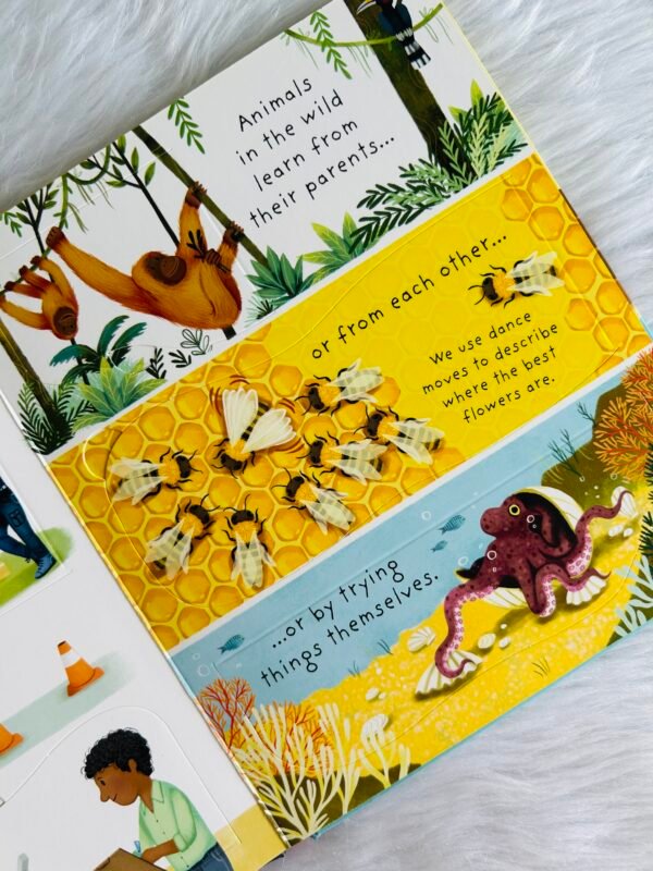 Usborne Very First Questions and Answers - Why do I have to go School? - Image 4