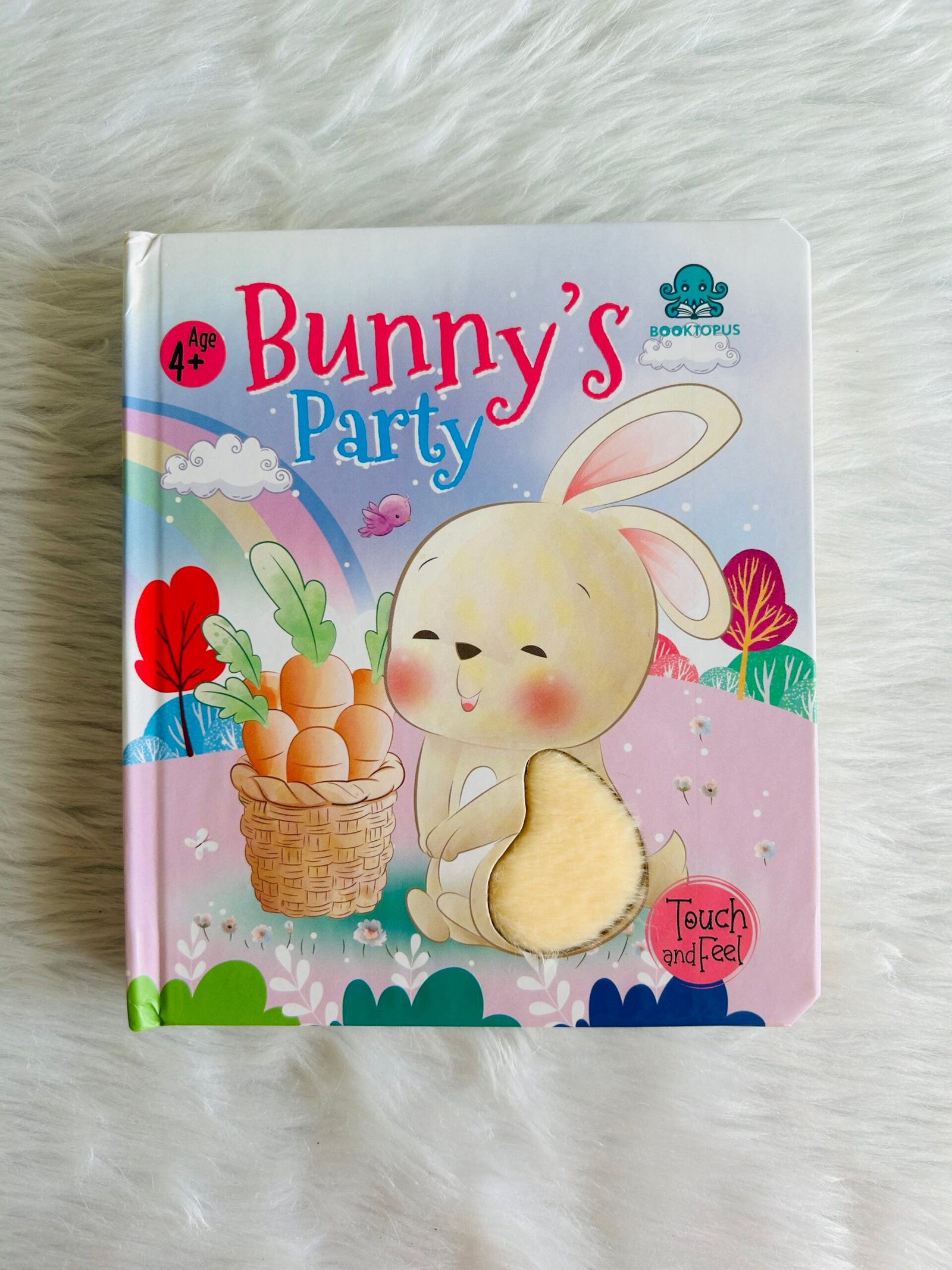 Touch and Feel - Bunny's Party